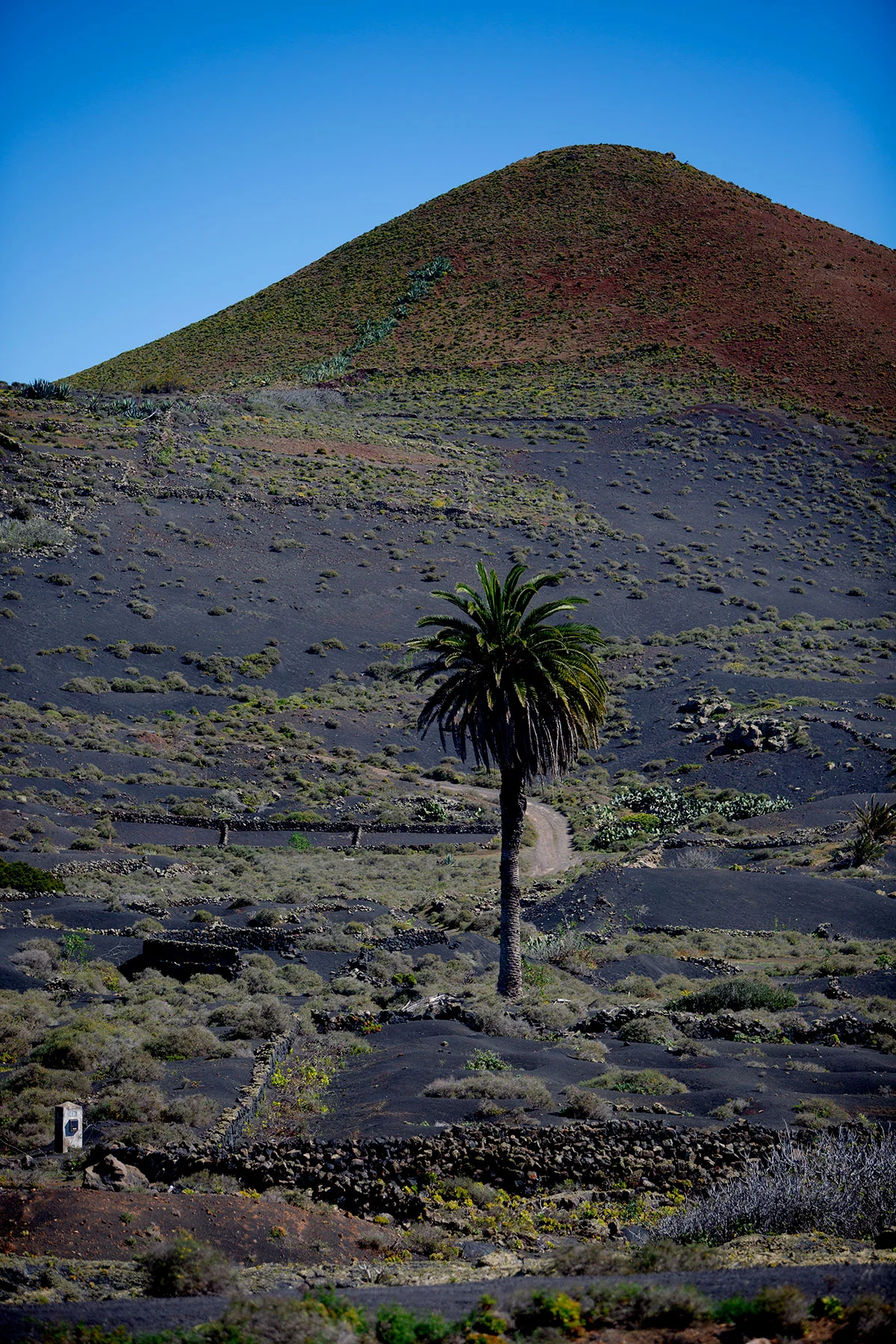 blogg-190207gapalava18.jpg