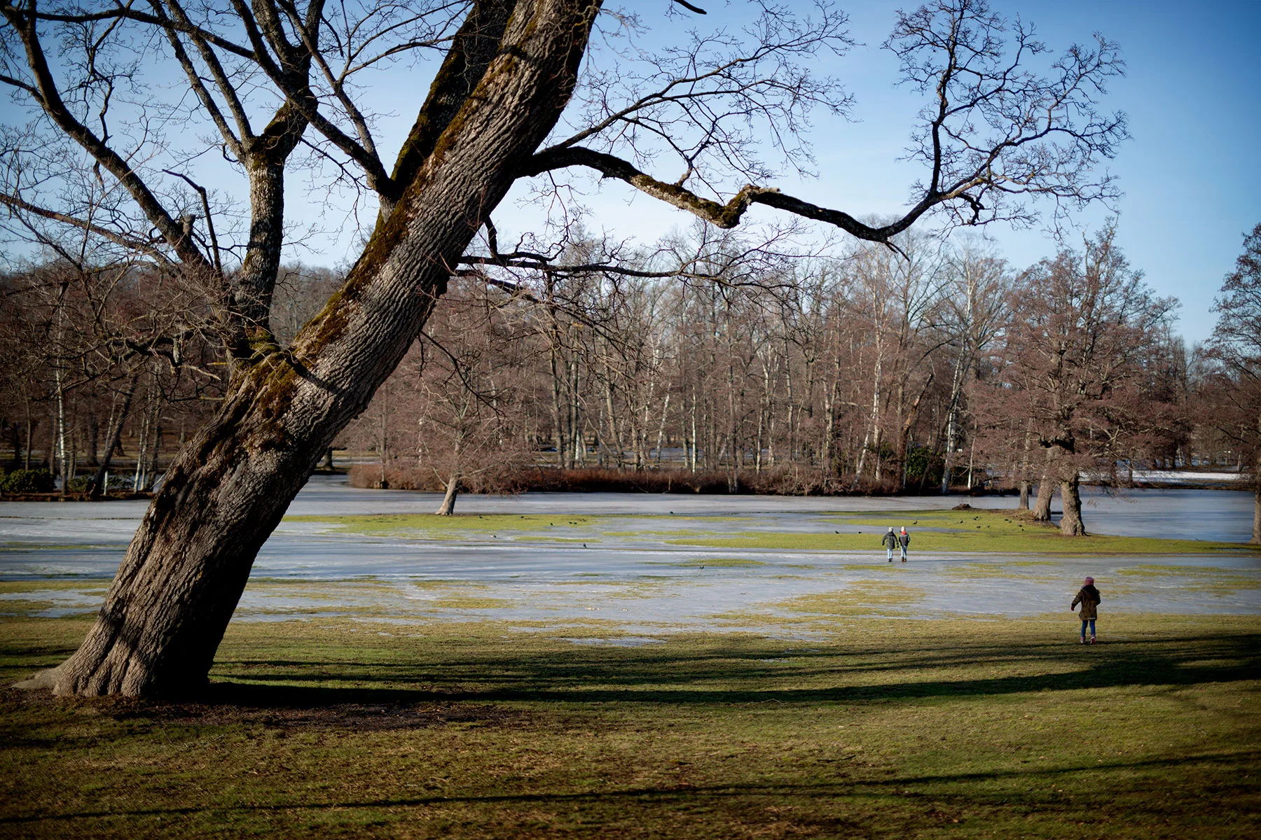 blogg-190217drottningholm8.jpg