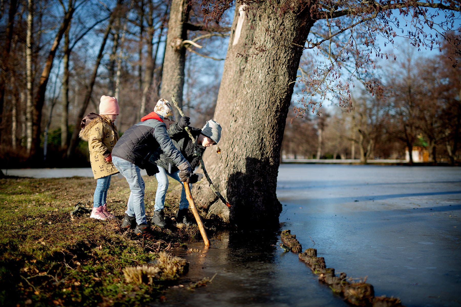 blogg-190217drottningholm9.jpg