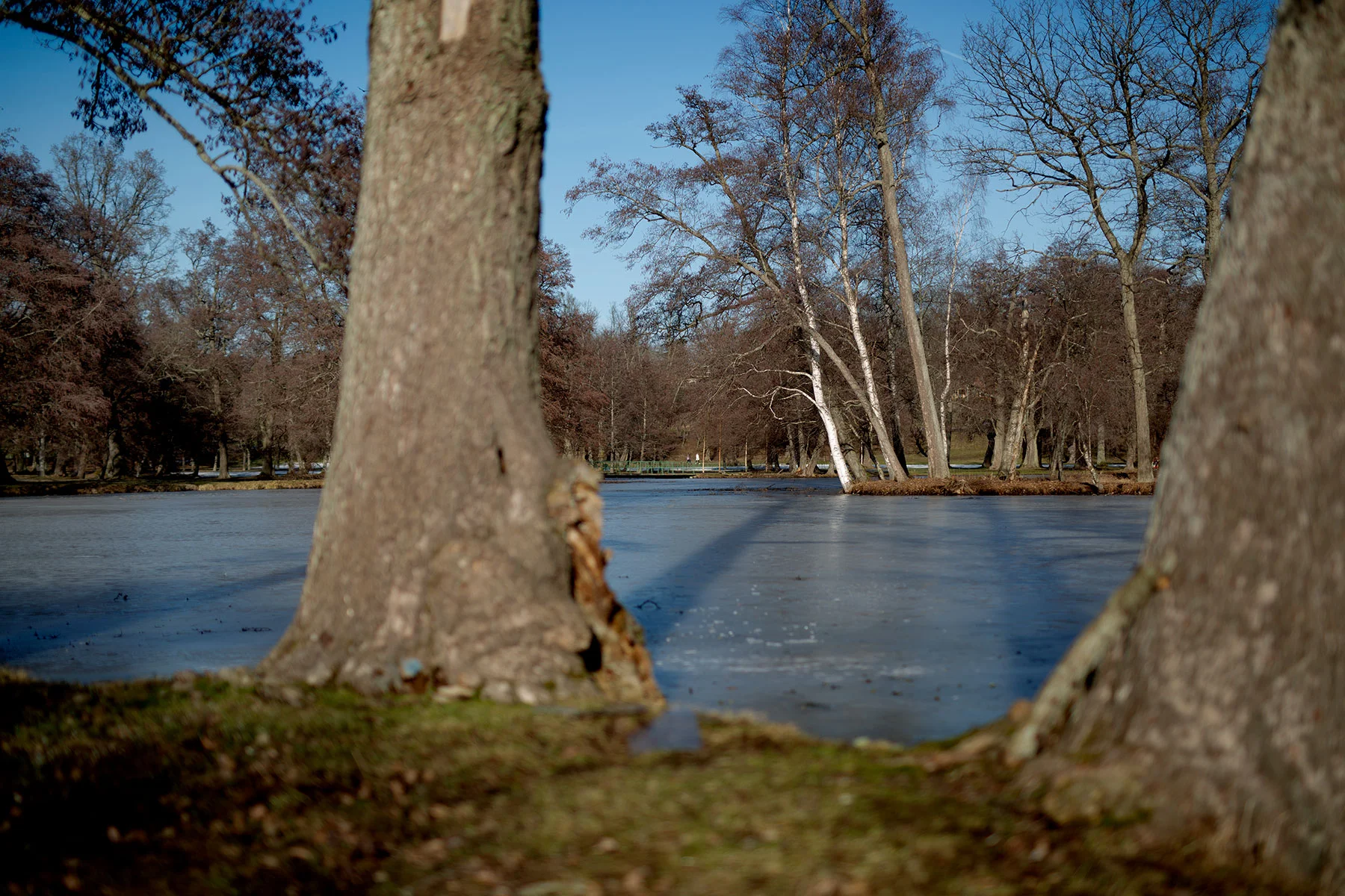 blogg-190217drottningholm13.jpg