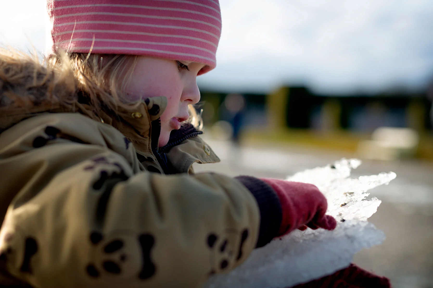 blogg-190217drottningholm17.jpg