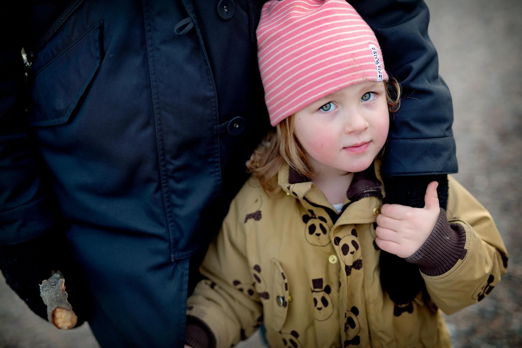 blogg-190217drottningholm26.jpg