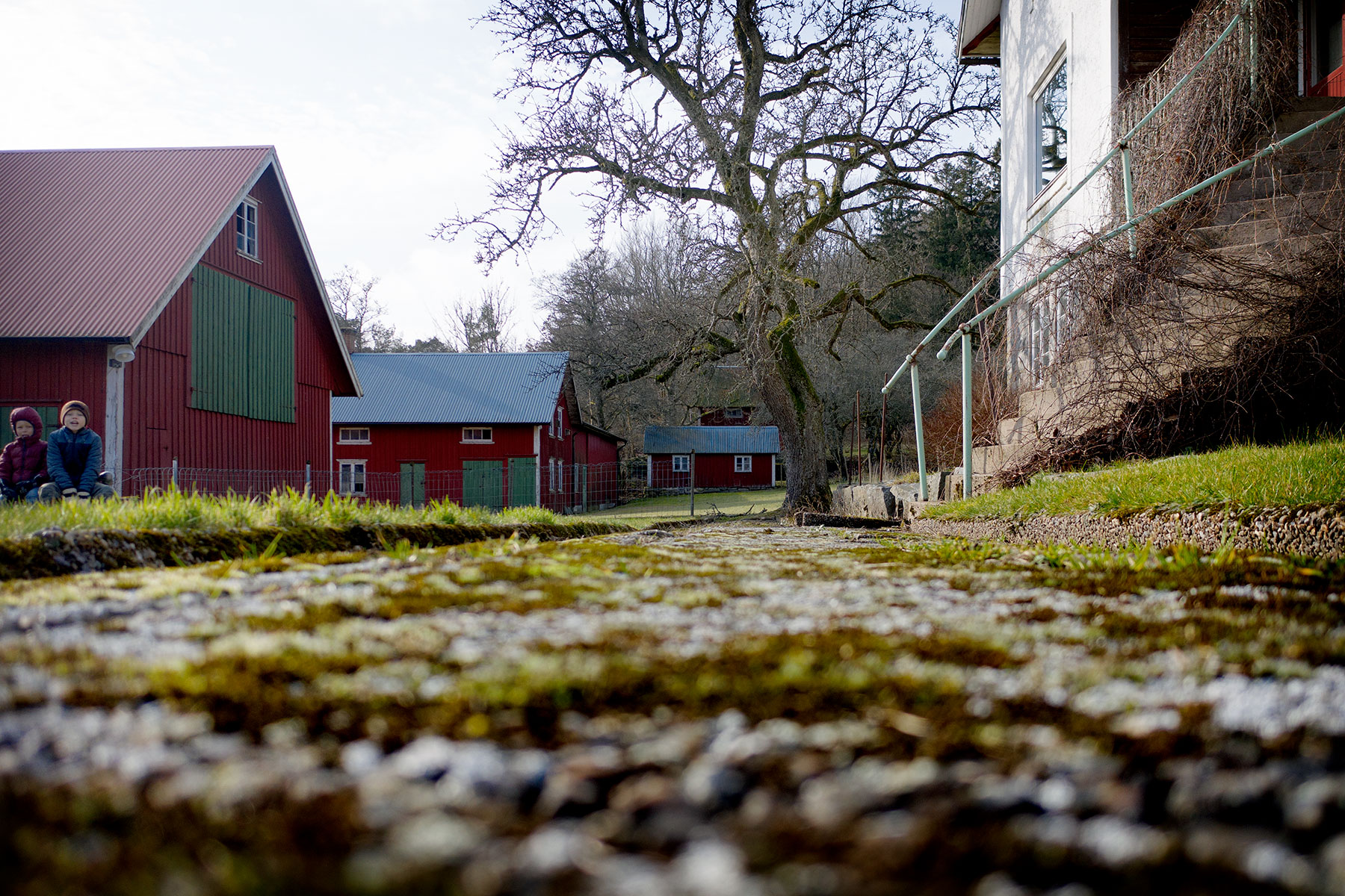 blogg-190223nas2.jpg