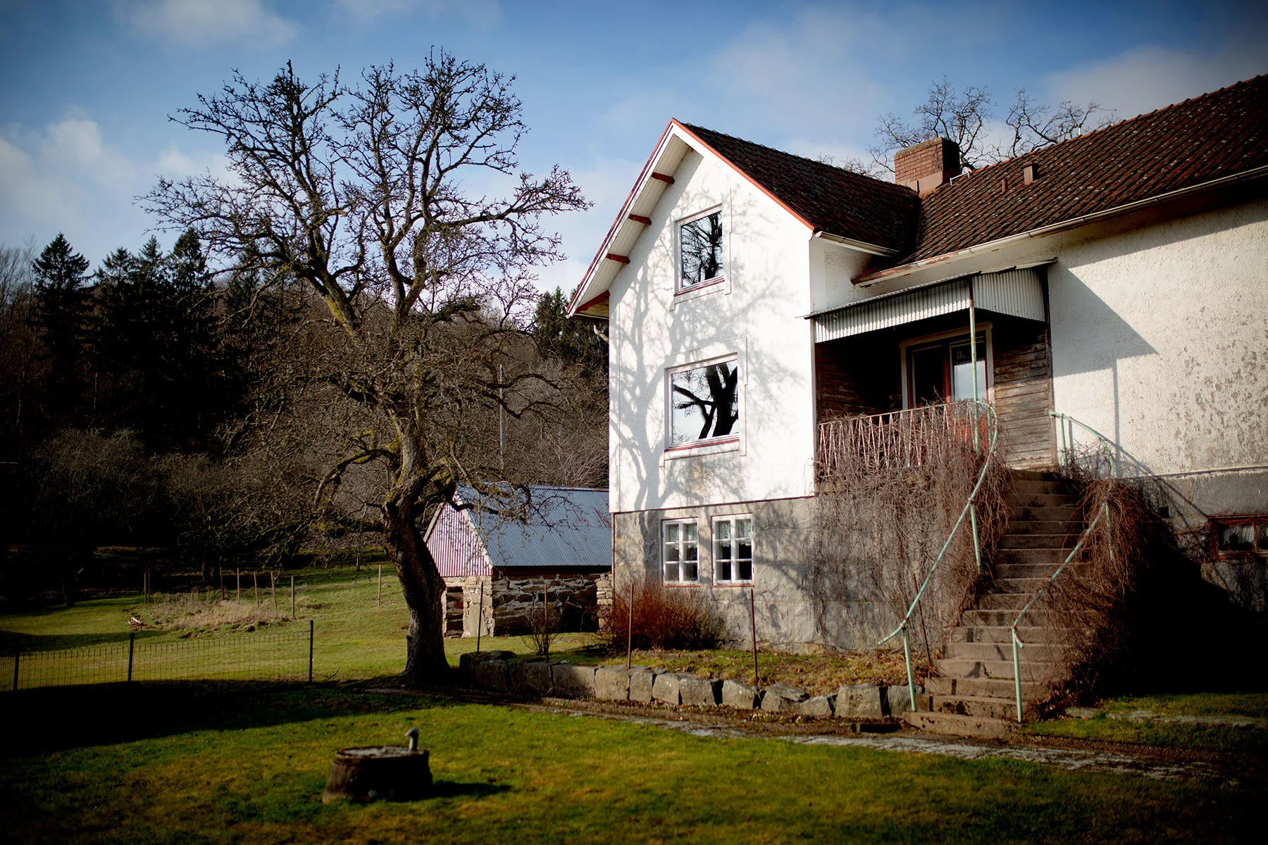 blogg-190223nas1.jpg