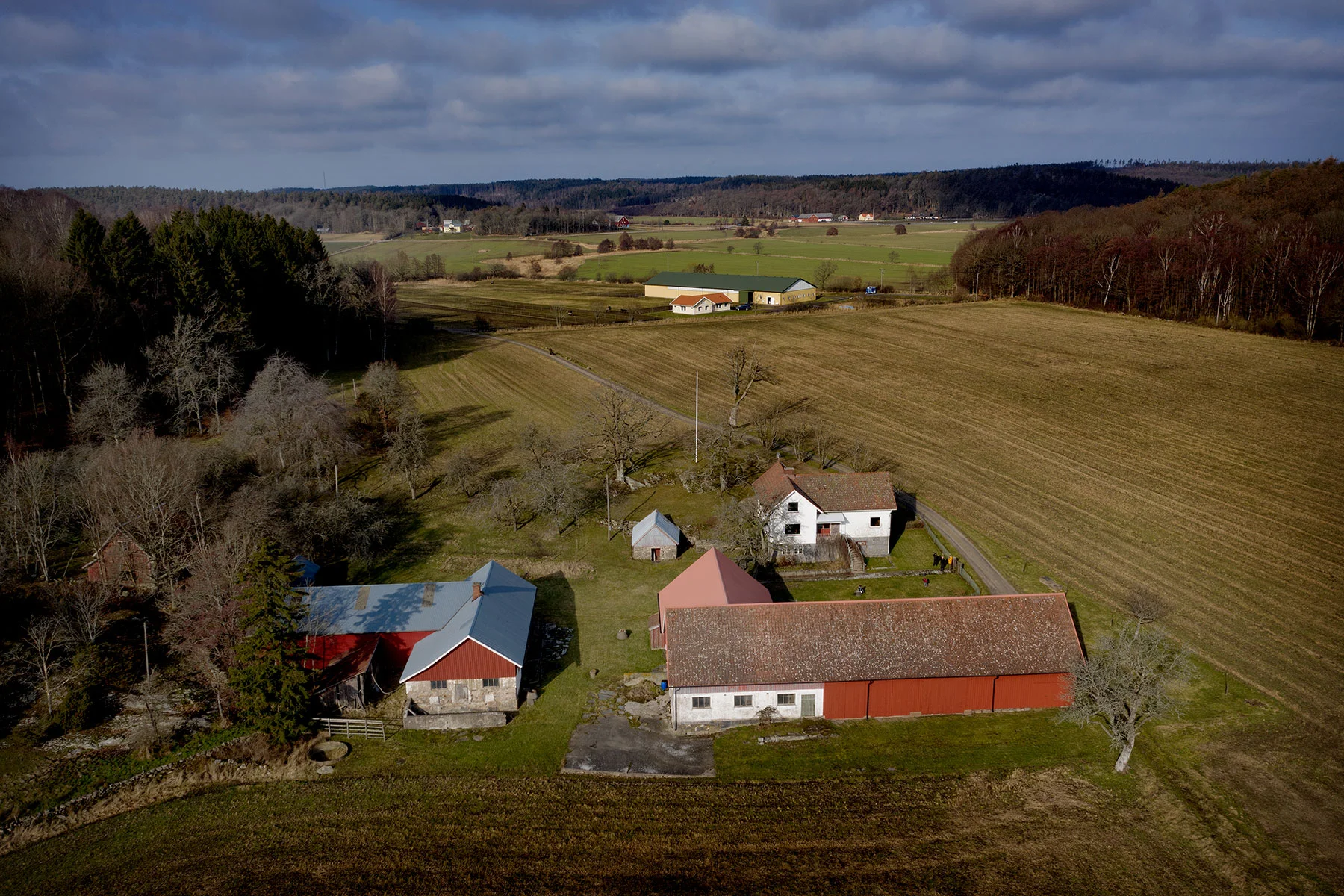 blogg-190223nas4.jpg