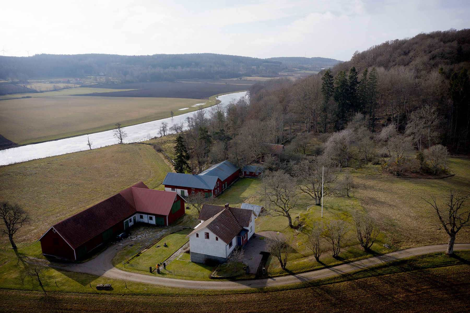 blogg-190223nas3.jpg