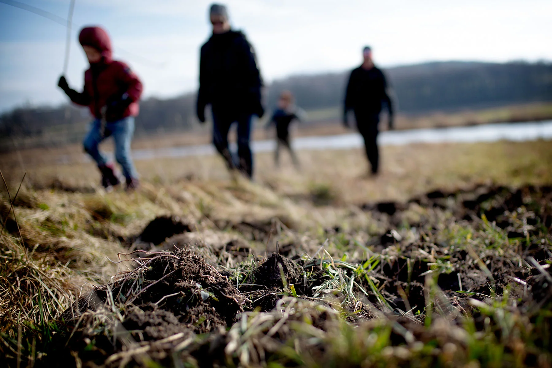 blogg-190223nas10.jpg