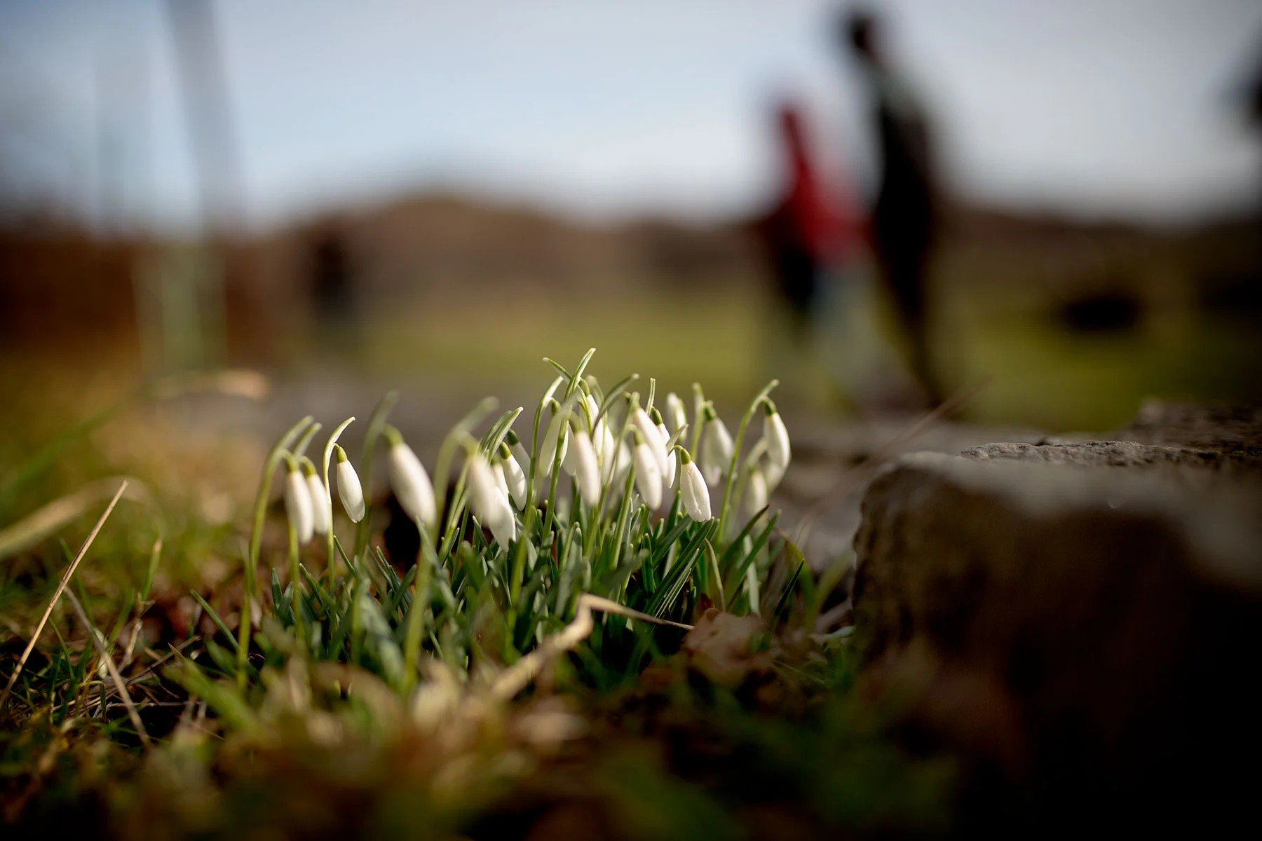 blogg-190223nas15.jpg