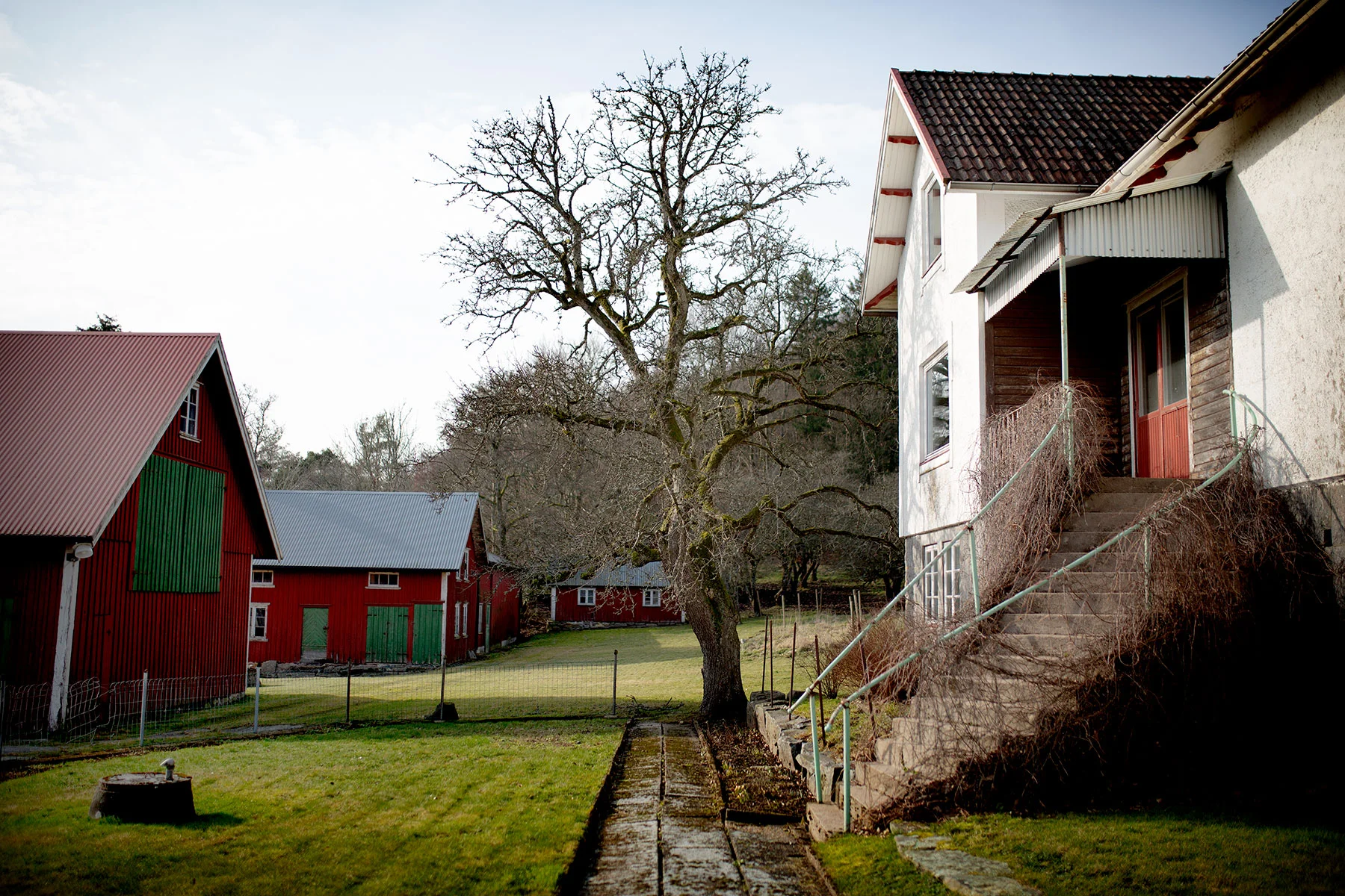 blogg-190223nas18.jpg