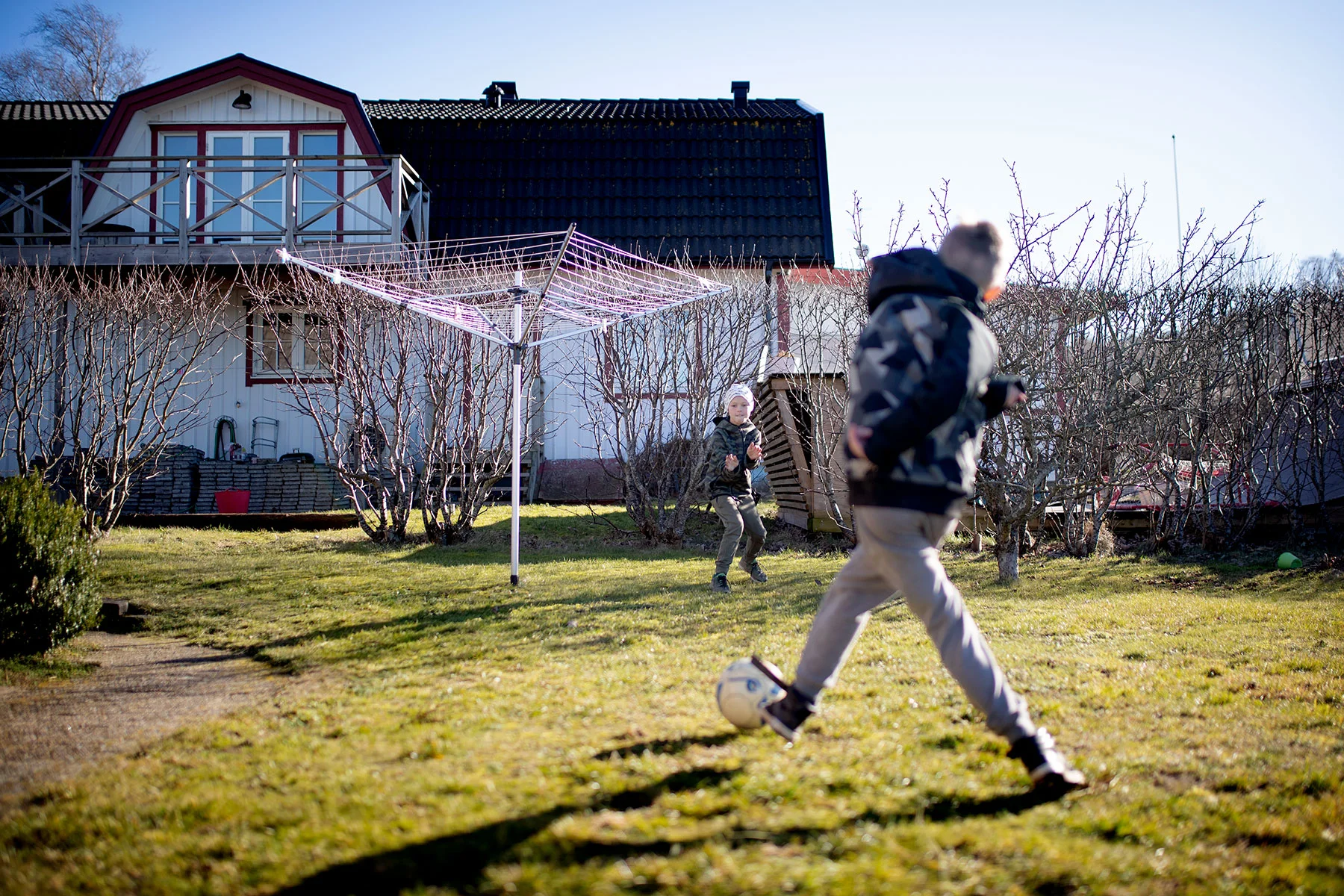 blogg-190228varitradgarden6.jpg