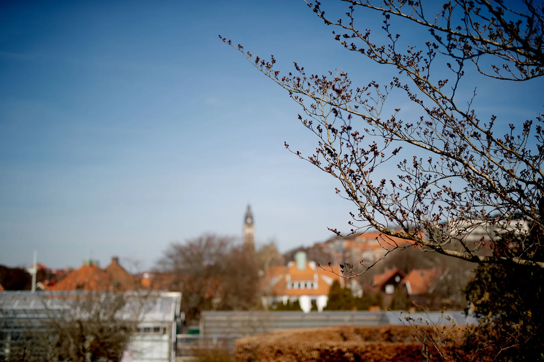 blogg-190402botaniska4.jpg