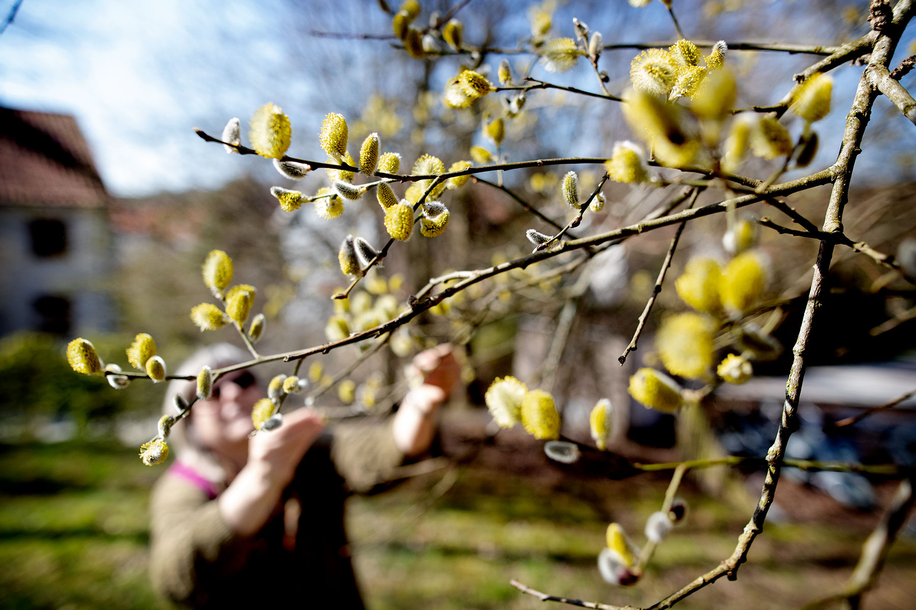 blogg-190402botaniska7.jpg
