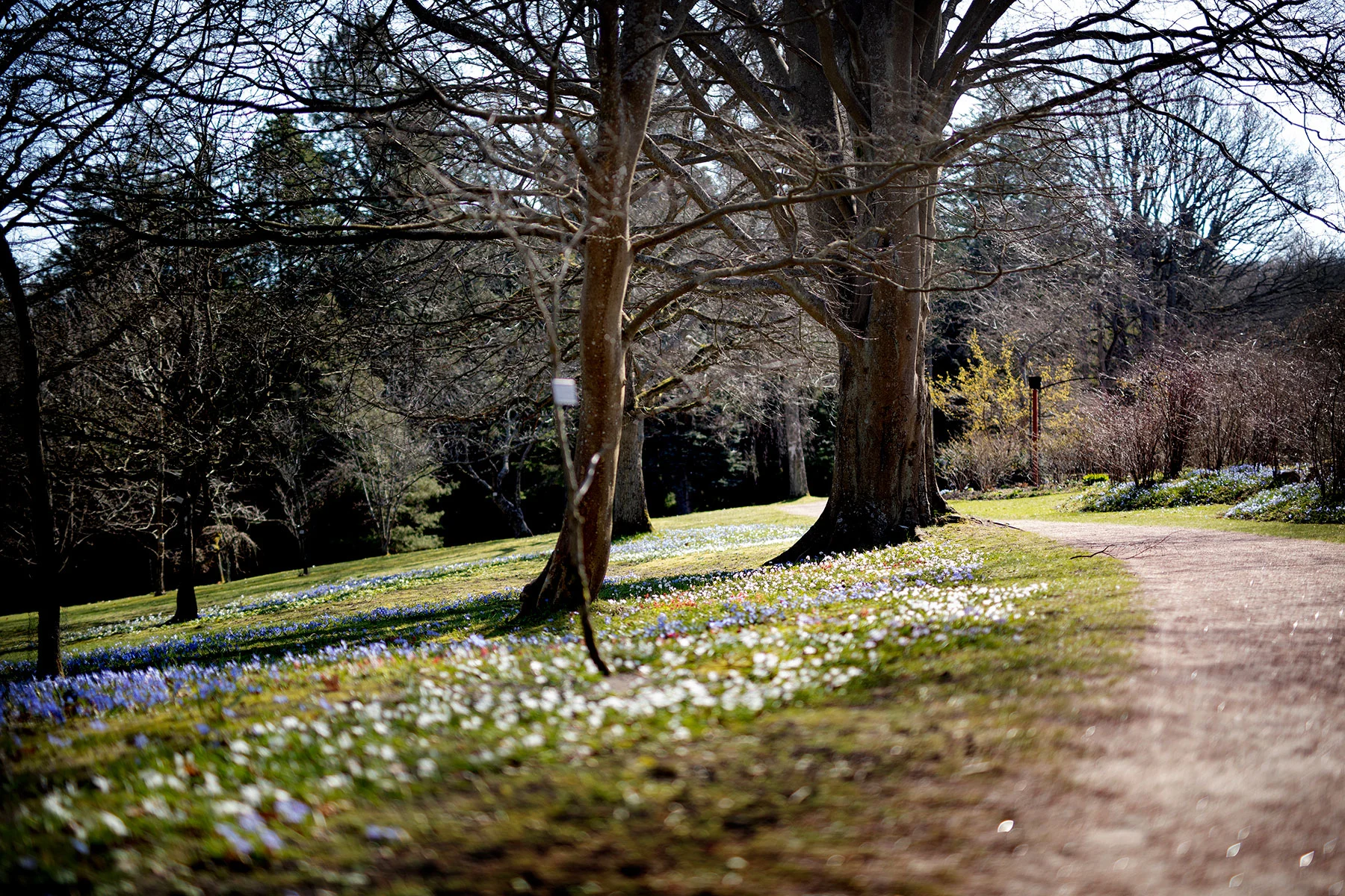 blogg-190402botaniska10.jpg