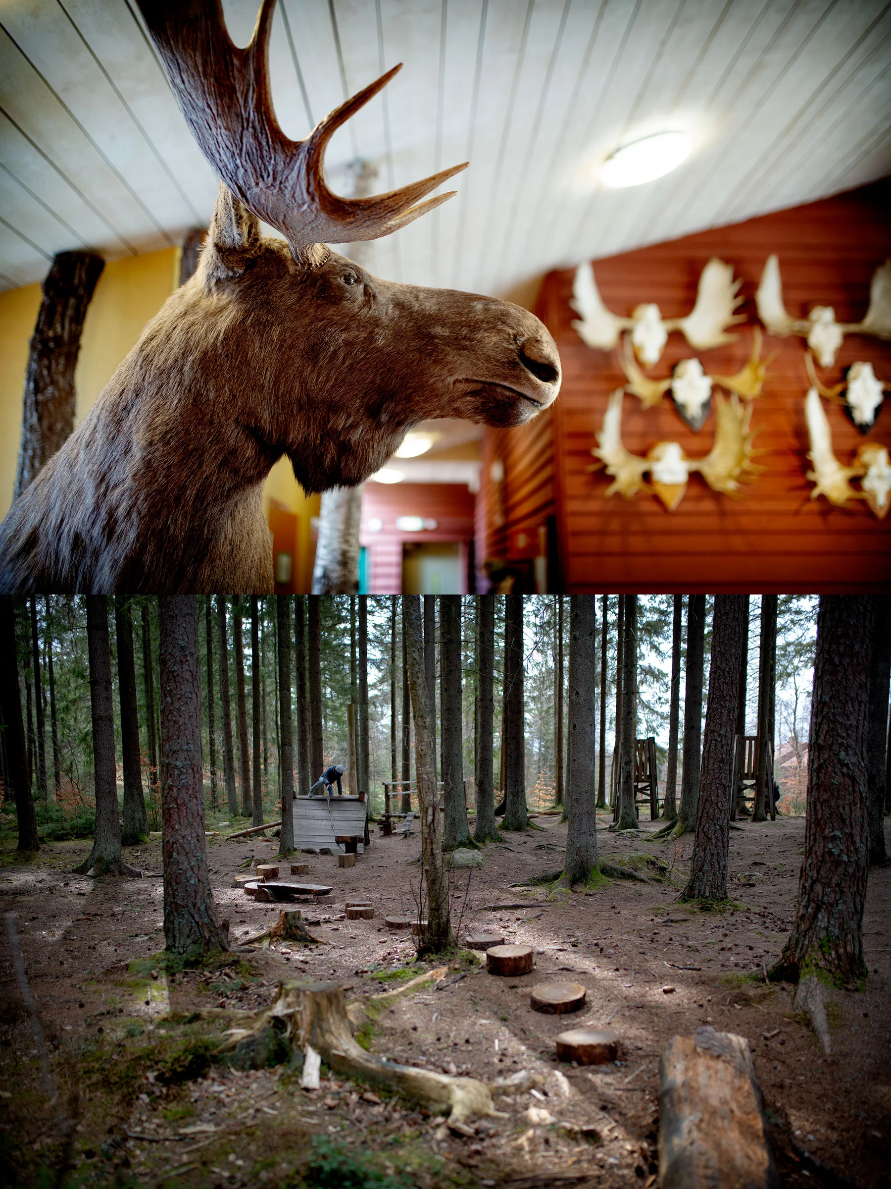 Älgens berg