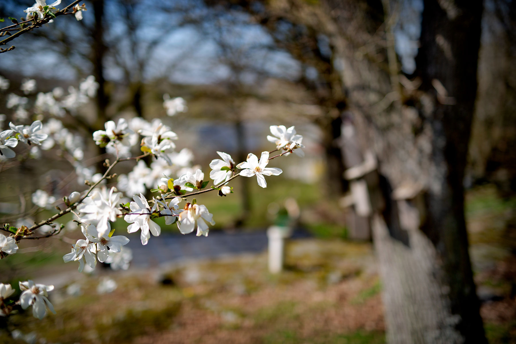 blogg-190420paskiambjorntorp42.jpg