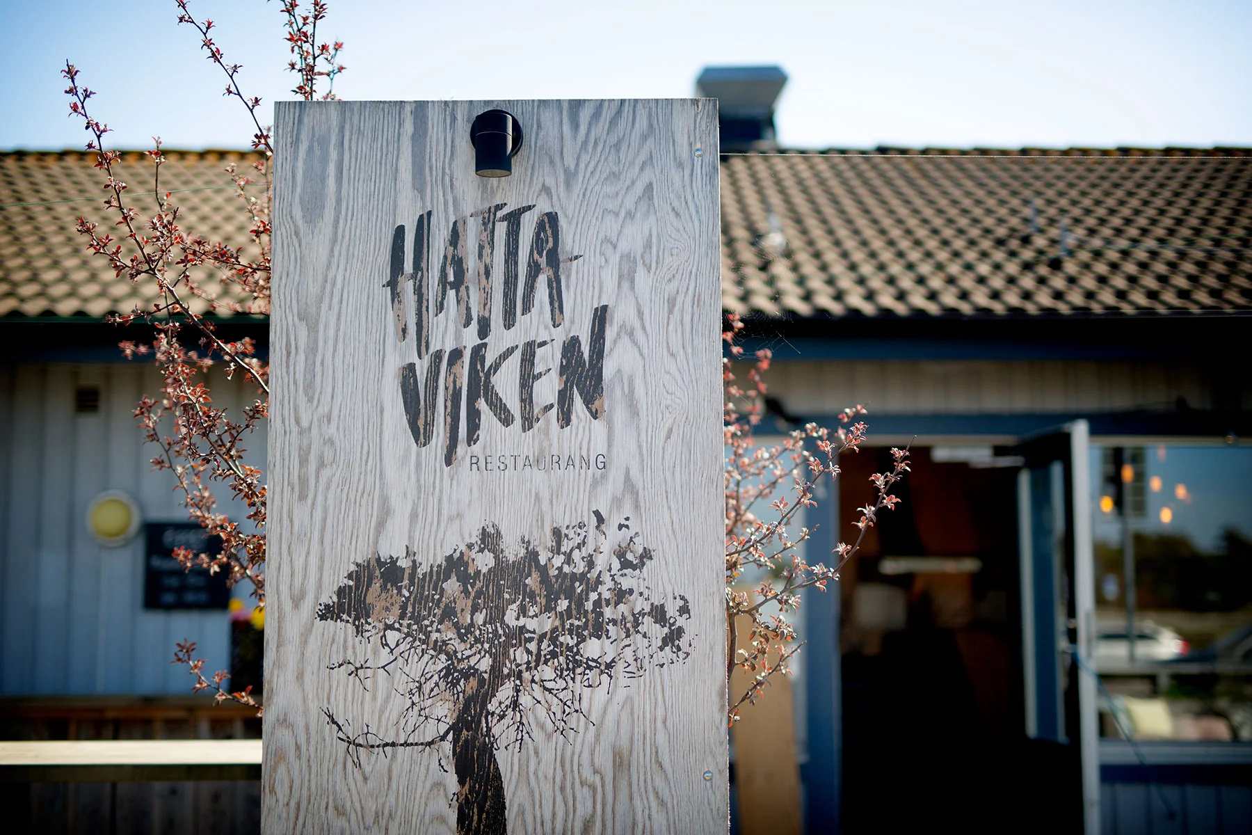 blogg-190426hattaviken1.jpg