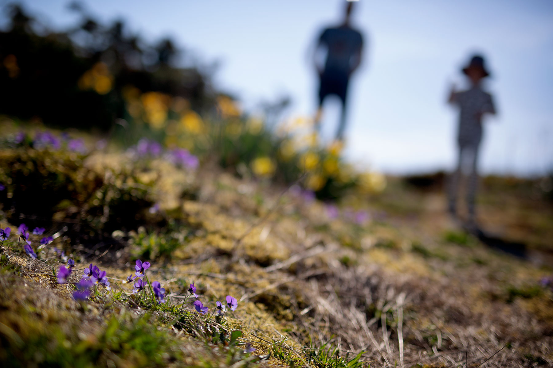 blogg-190426hattaviken10.jpg