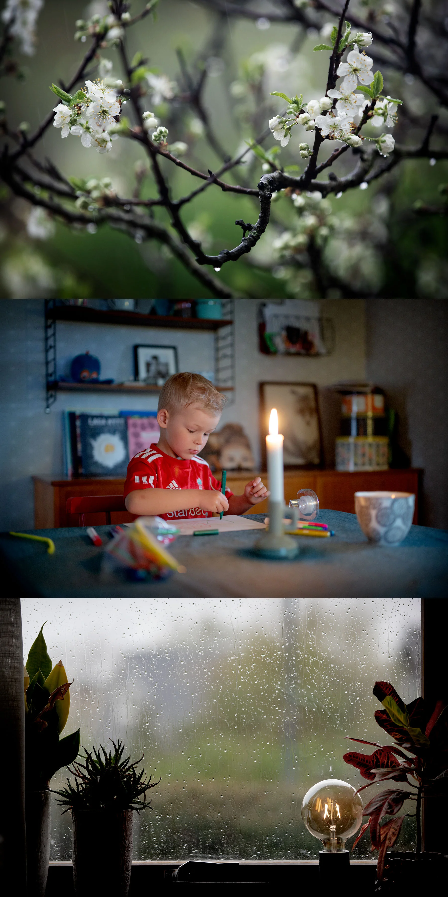 Du ska få ett panoramafönster