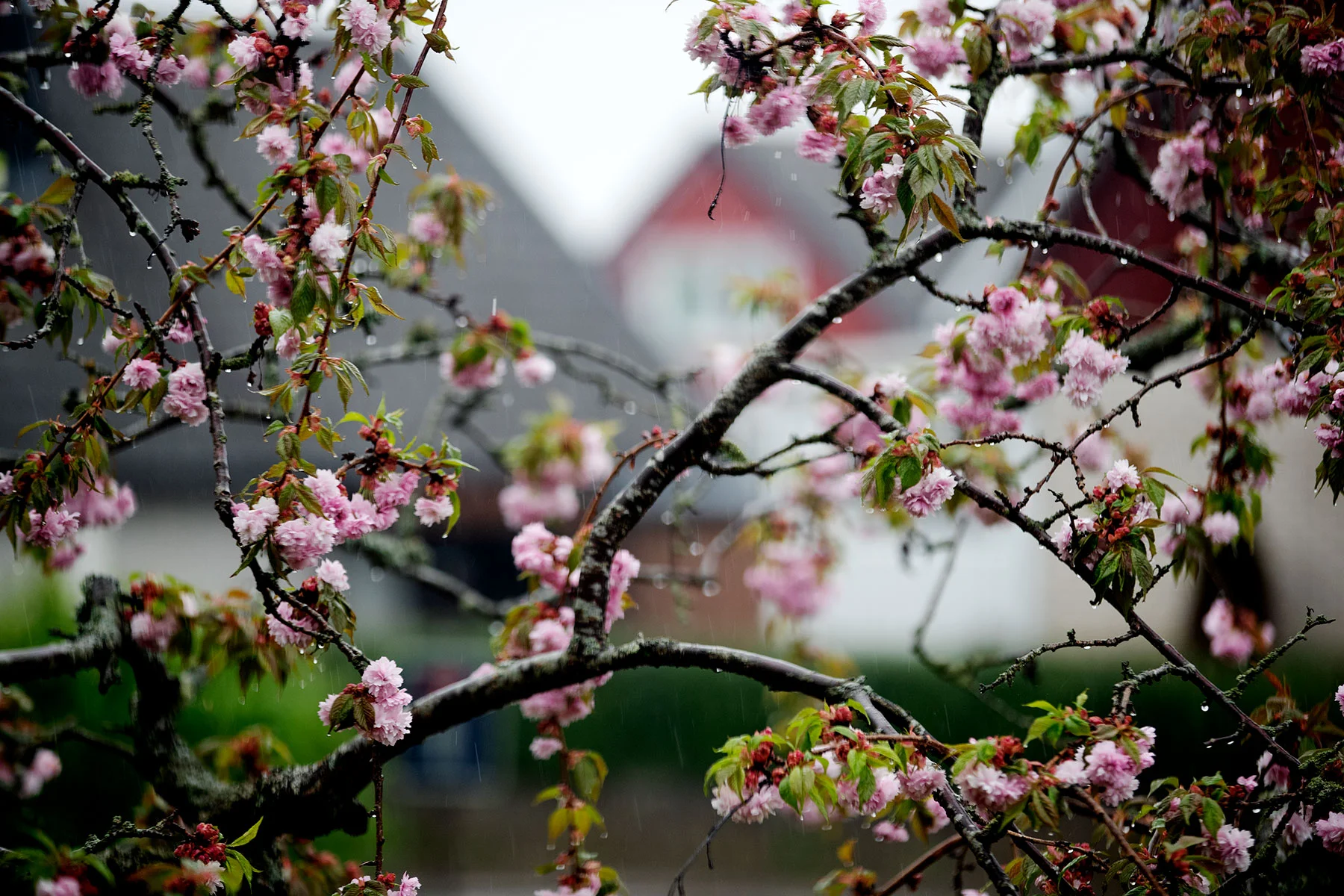 blogg-190427regnstrombygge6.jpg