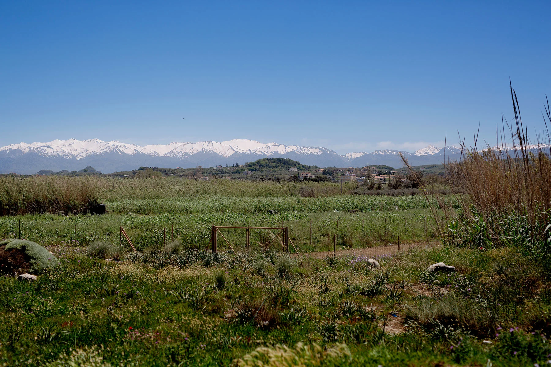 blogg-190429malemepromenad18.jpg