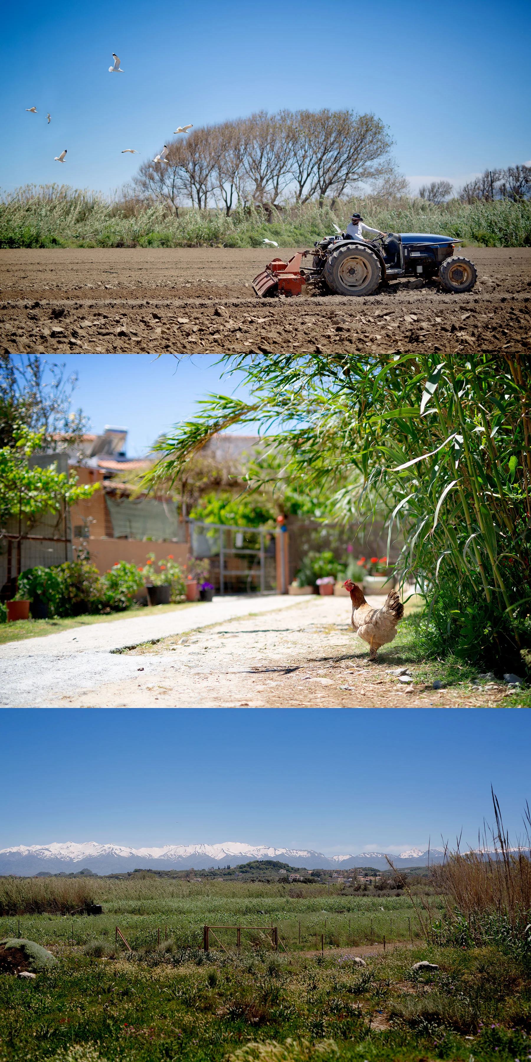 Maleme