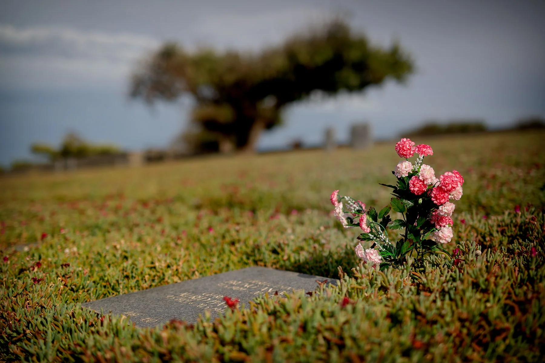 blogg-190501deutschersoldatenfriedhof9.jpg