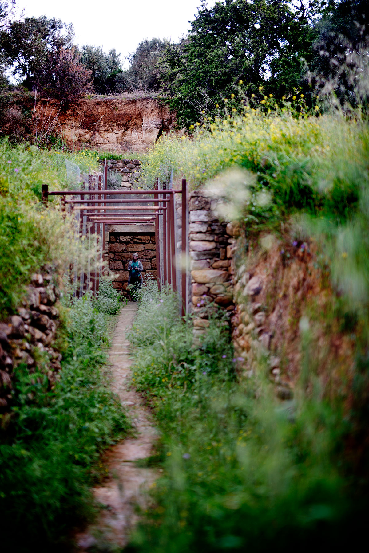 Late Minoan Tholos Tomb