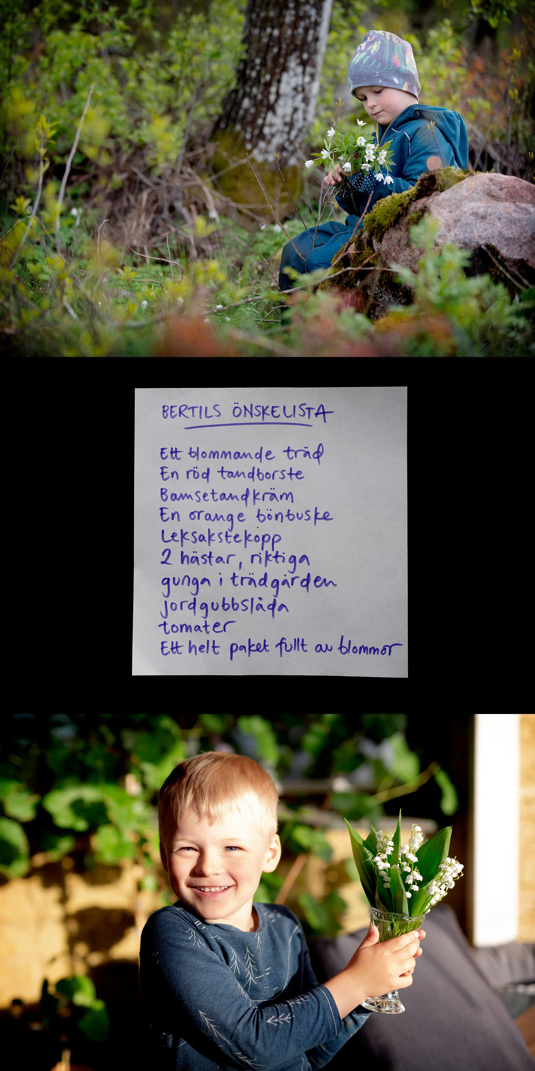 Bertils önskelista