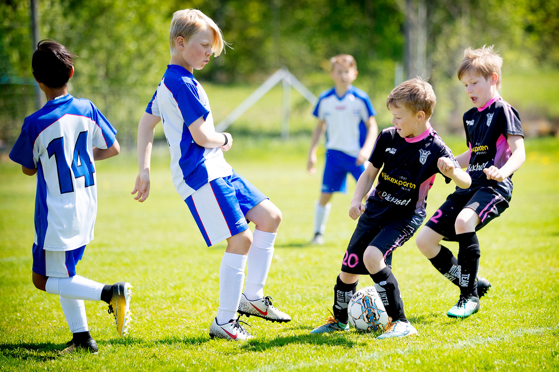 blogg-190519norvallamatch8.jpg