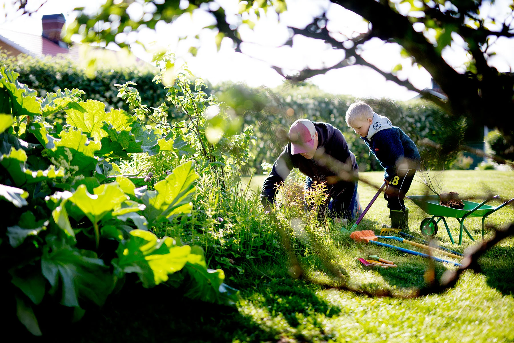 Planteringsungen