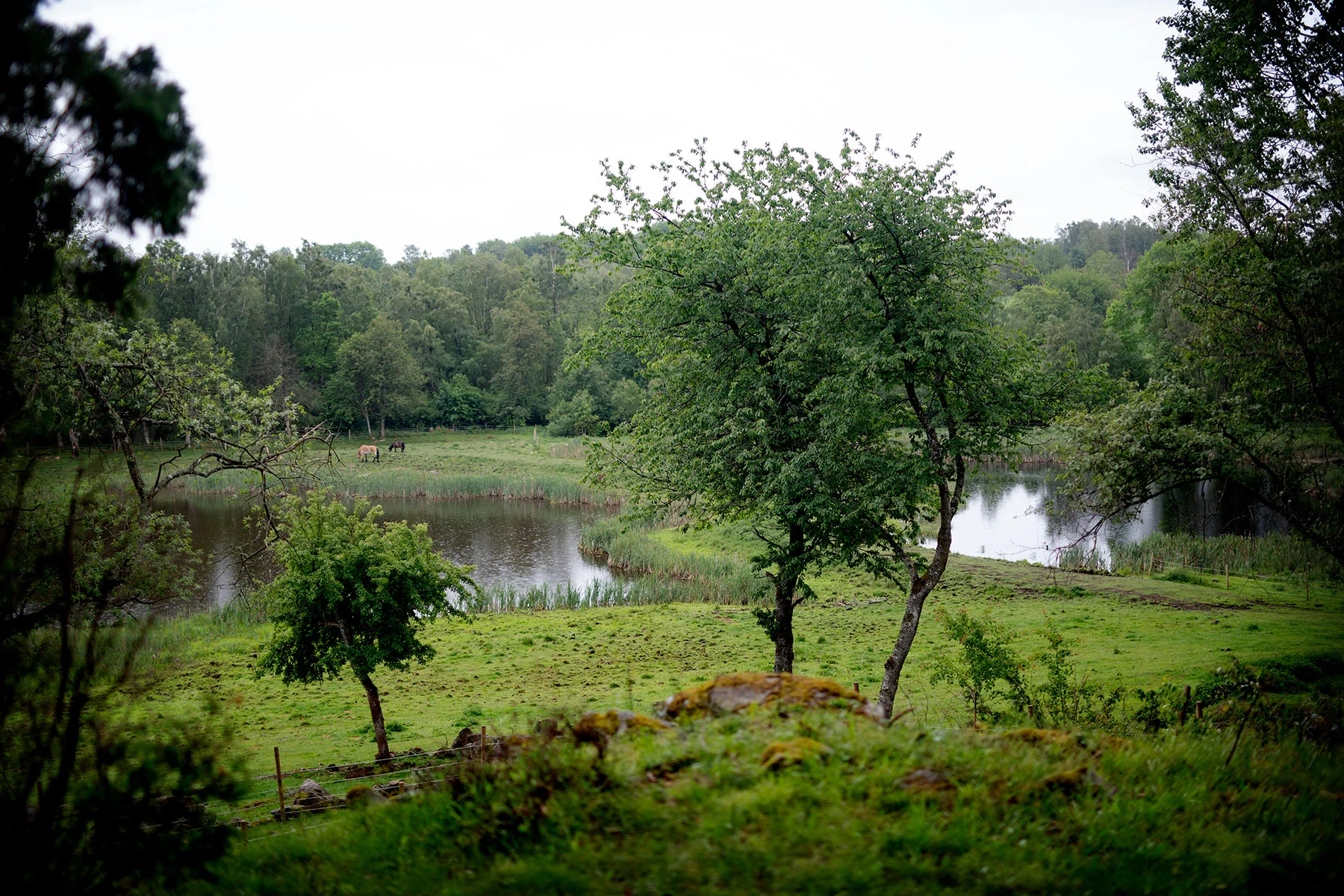 blogg-190607gamlensgard12.jpg