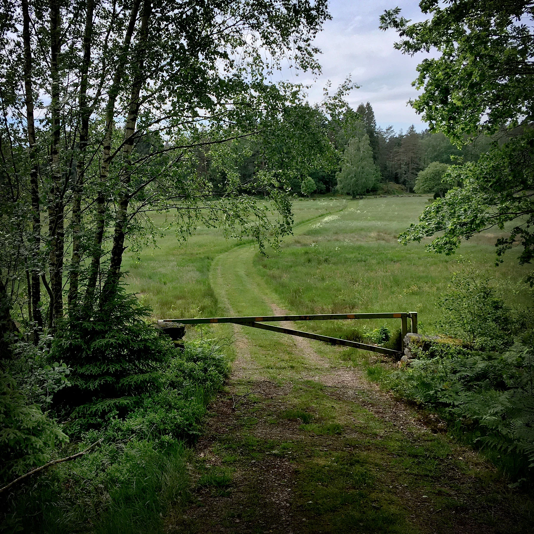 blogg-190608hallandsleden6.jpg