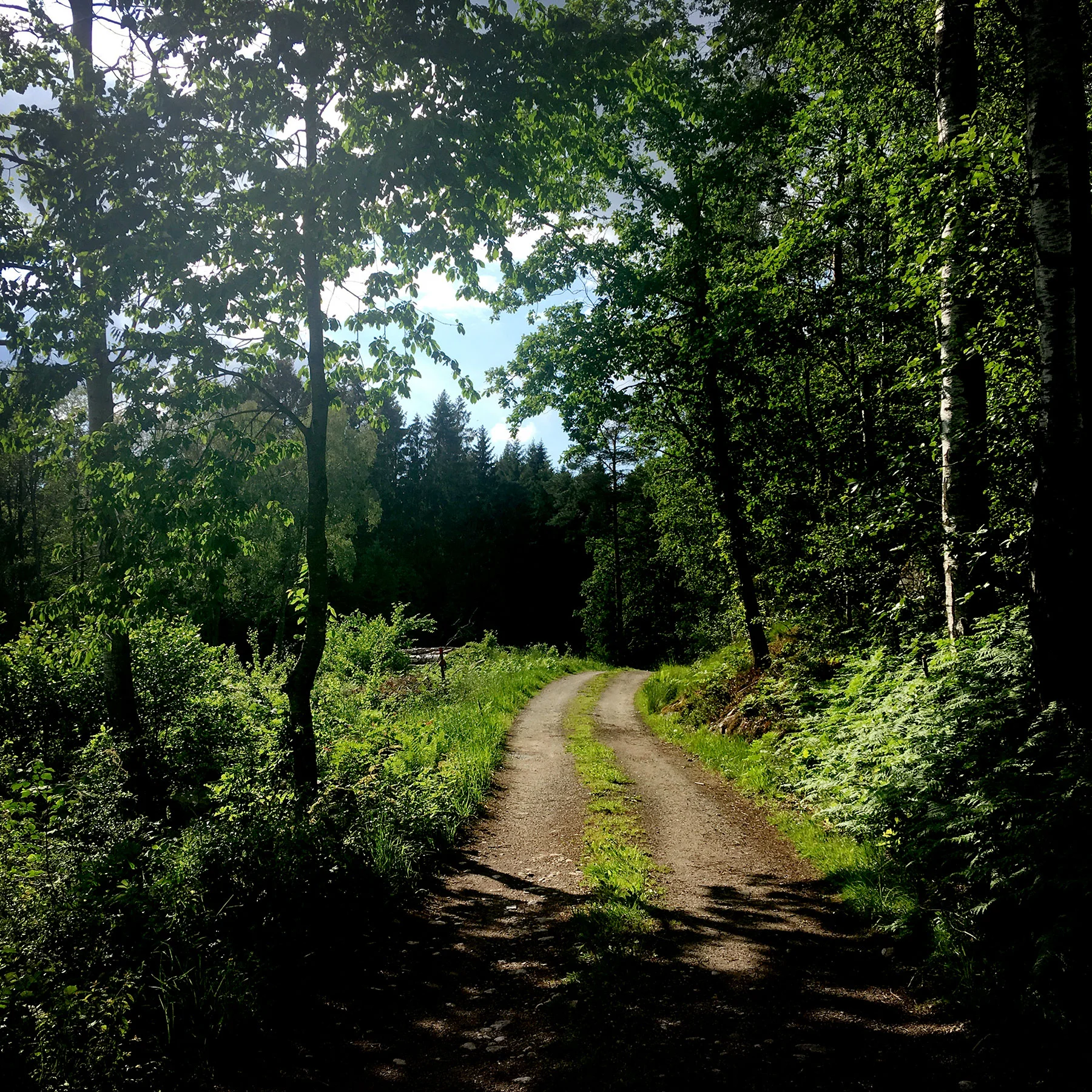 blogg-190608hallandsleden14.jpg