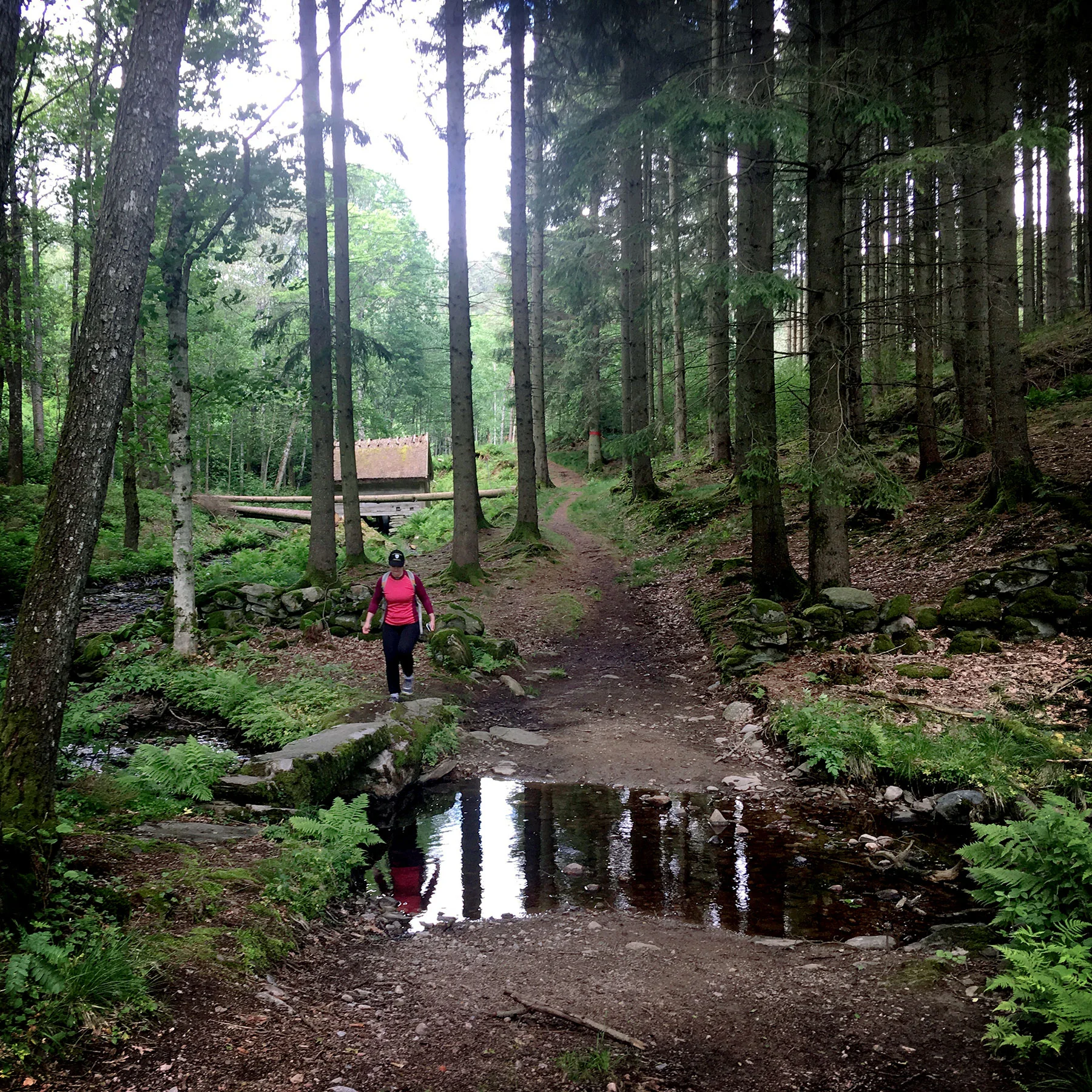 blogg-190608hallandsleden17.jpg