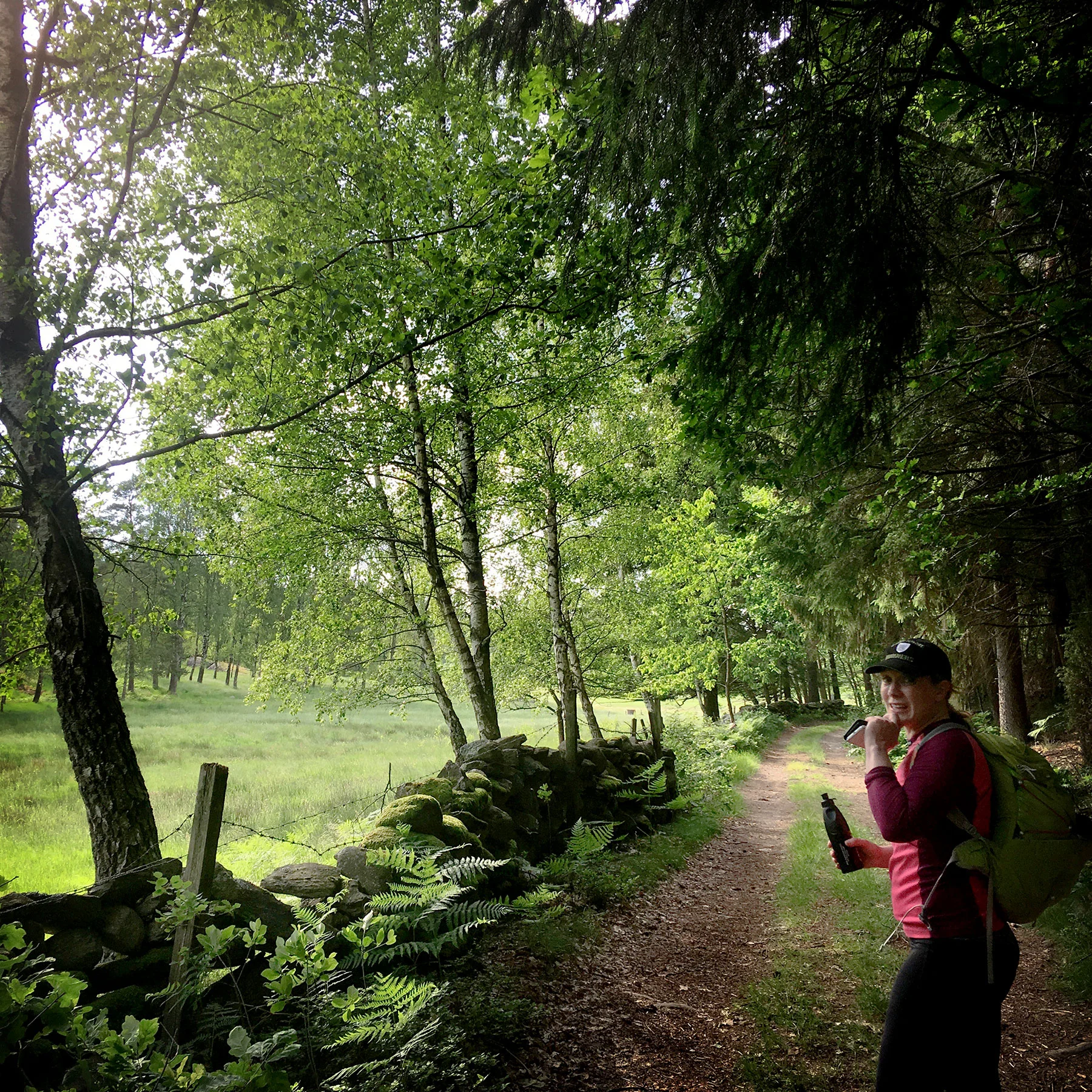 blogg-190608hallandsleden19.jpg