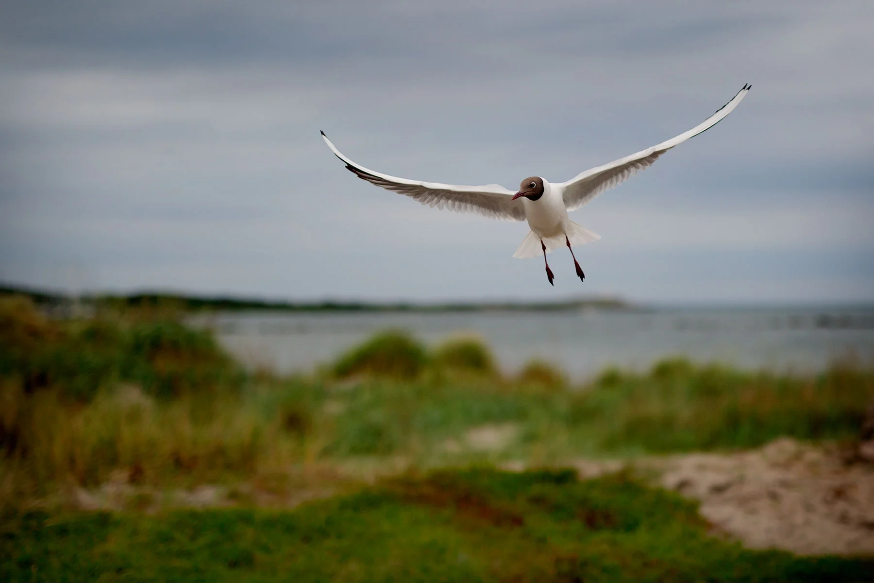 blogg-190612balemedfyren11.jpg