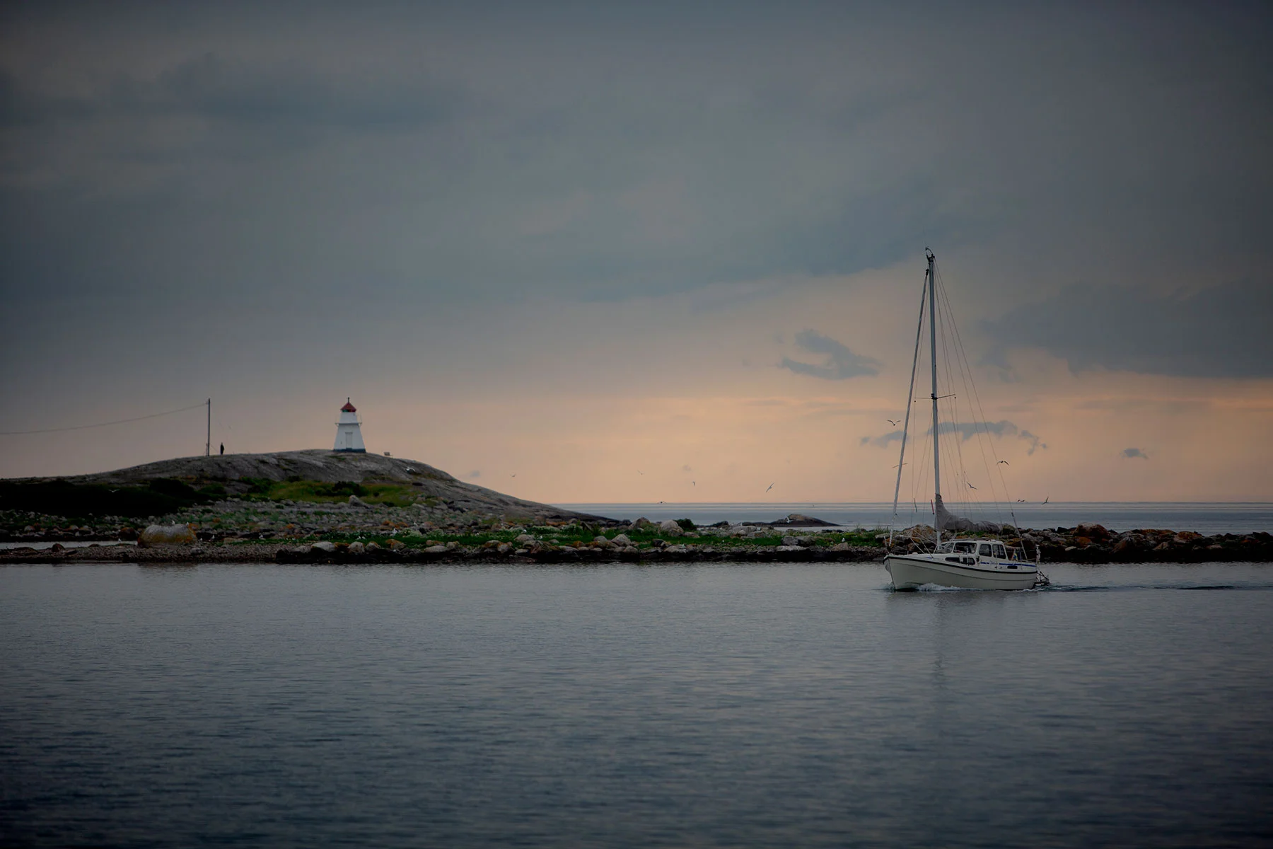 blogg-190614hamnen16.jpg