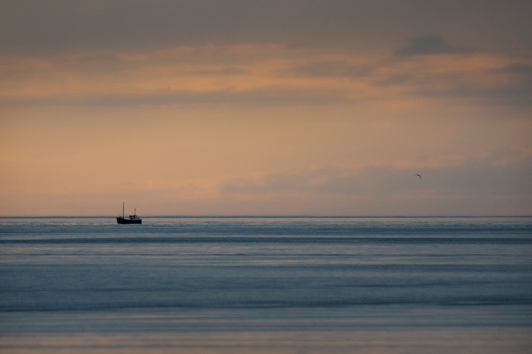 blogg-190614hamnen33.jpg