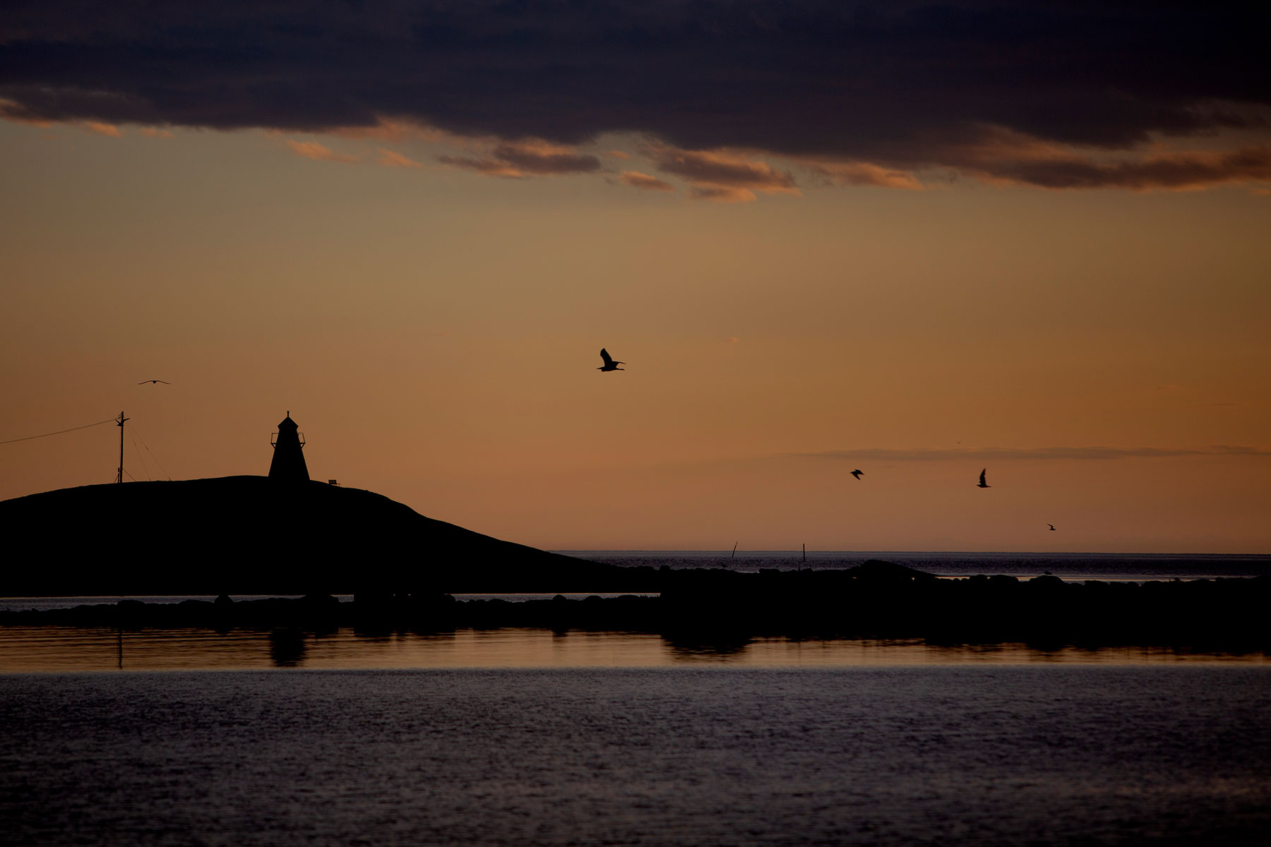 blogg-190614hamnen49.jpg