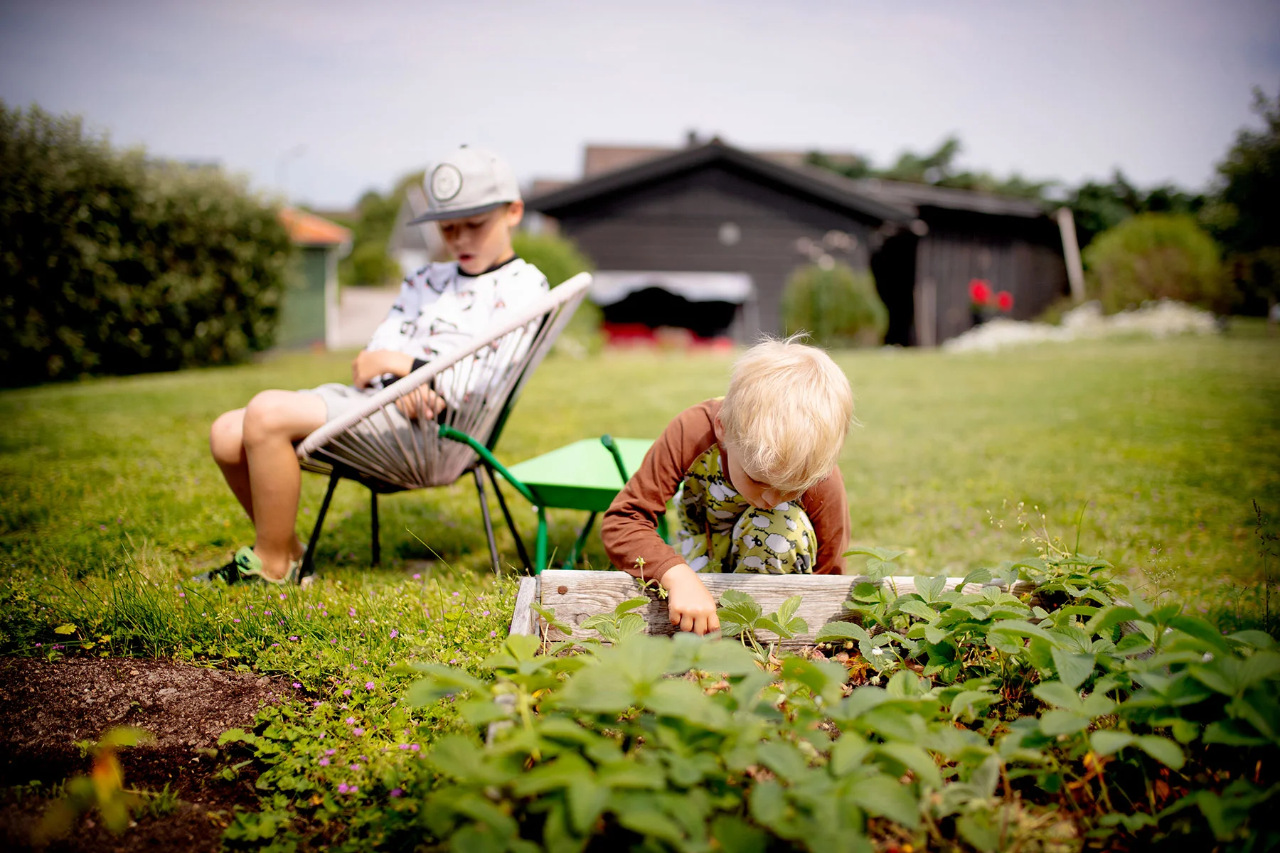 blogg-190618tradgardsfixardag1.jpg