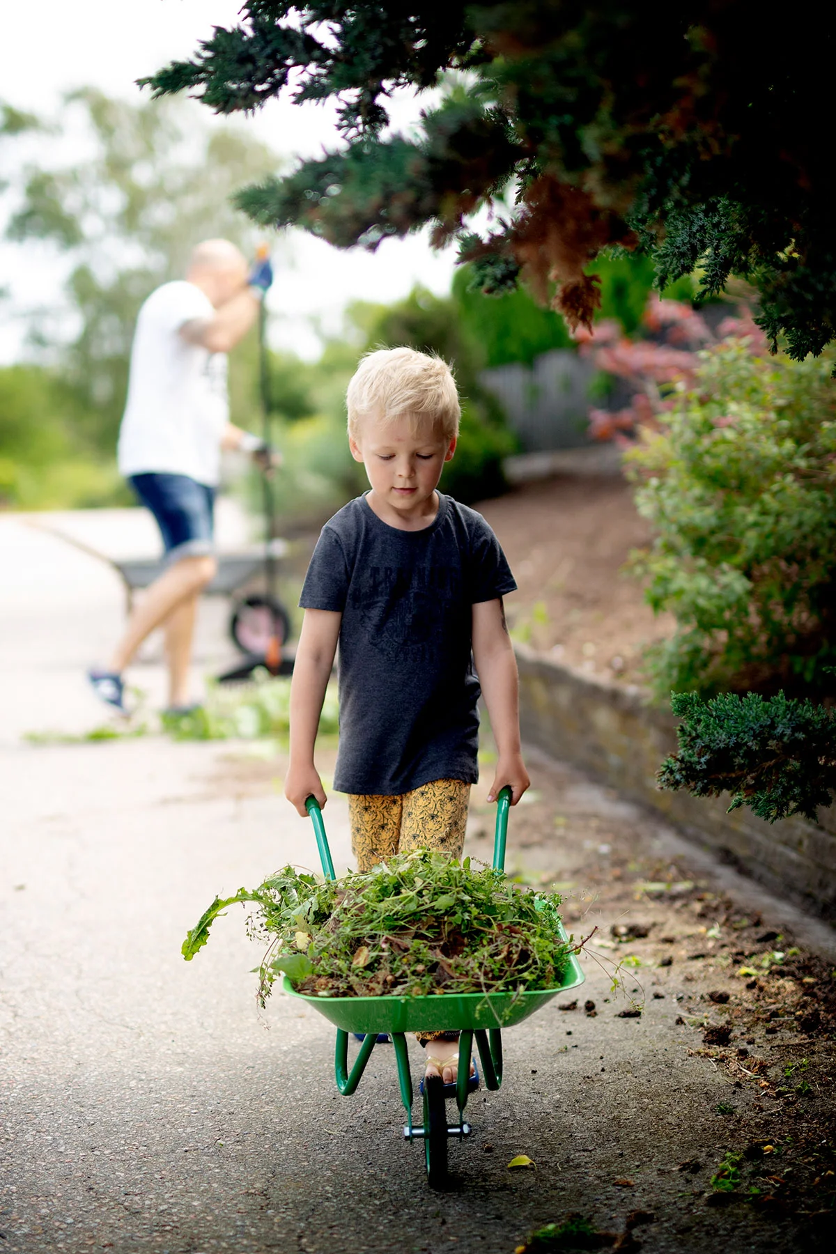 blogg-190618tradgardsfixardag4.jpg