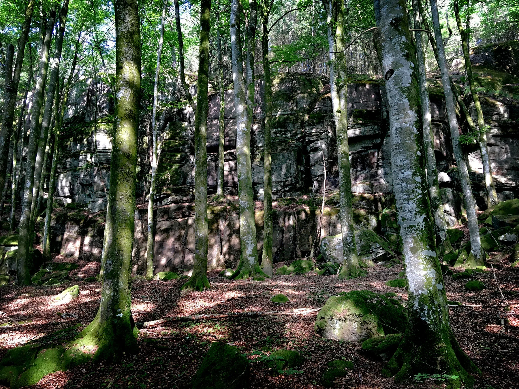 blogg-190619hallandsleden15.jpg