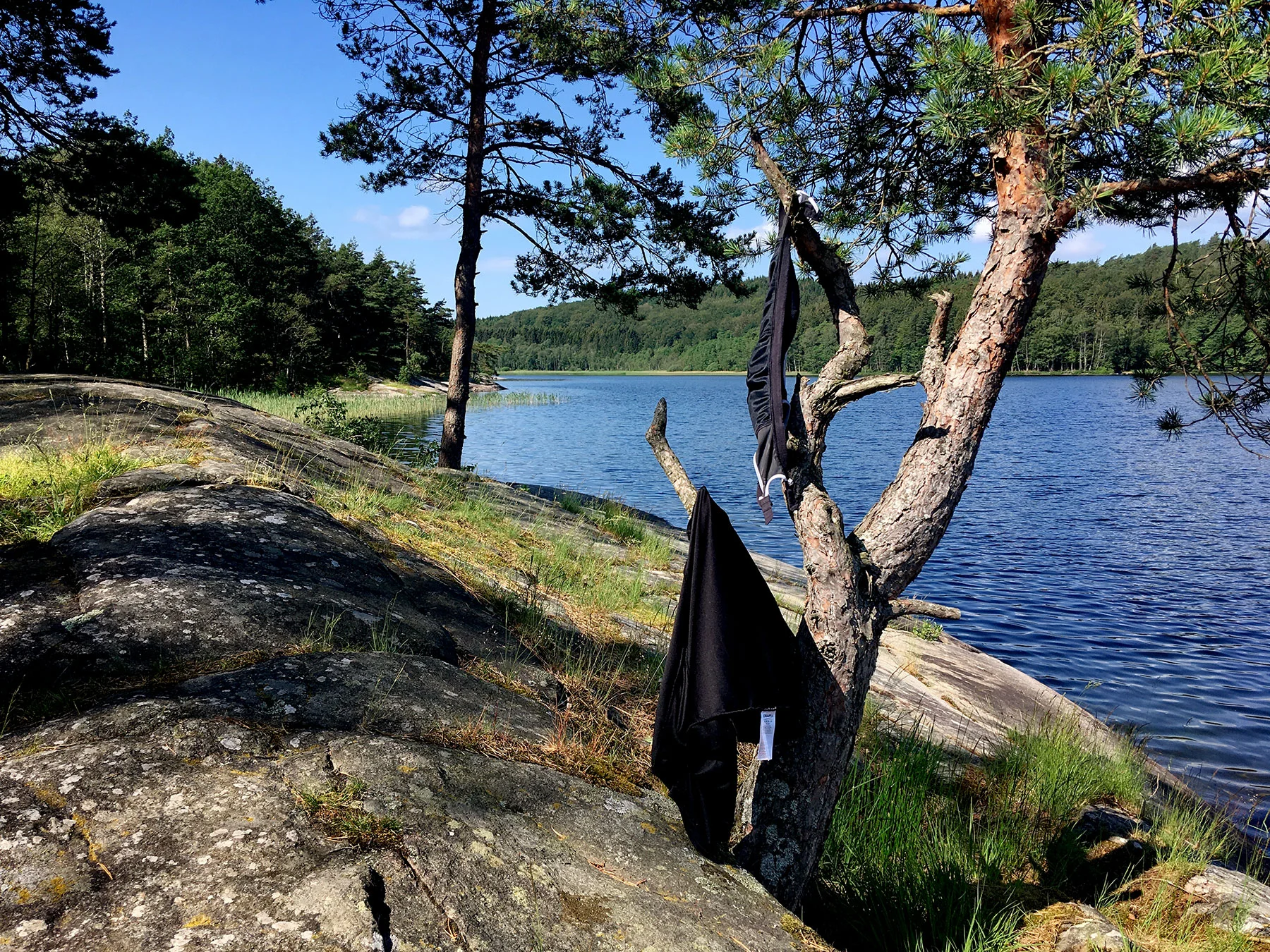 blogg-190619hallandsleden28.jpg