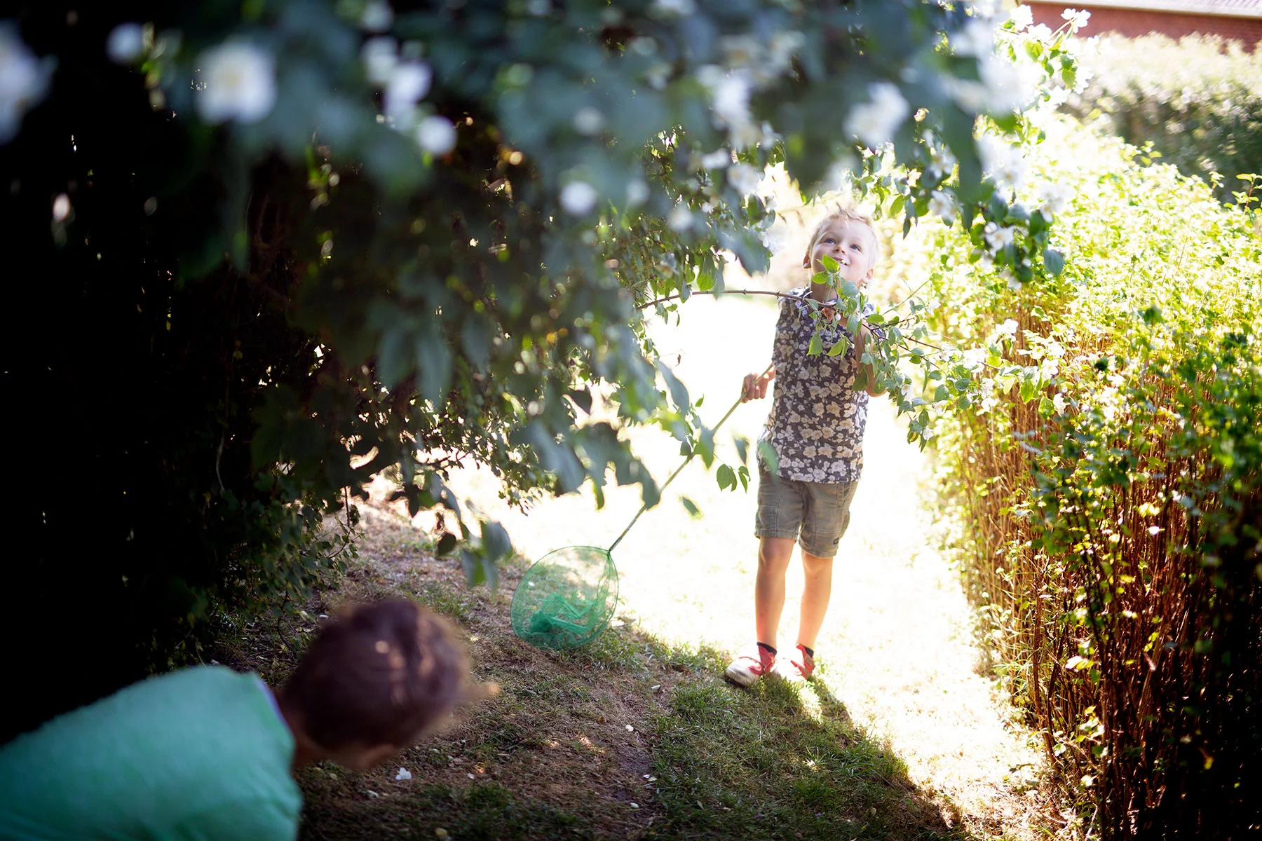 blogg-190621midsommarmorgon5.jpg