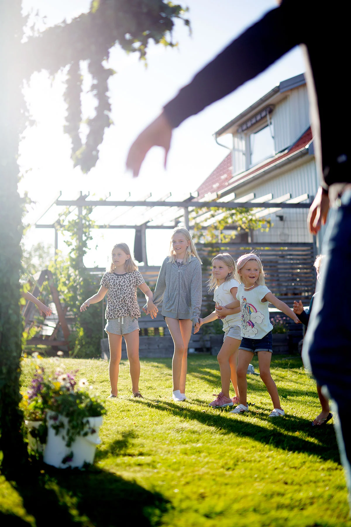 Små grodorna