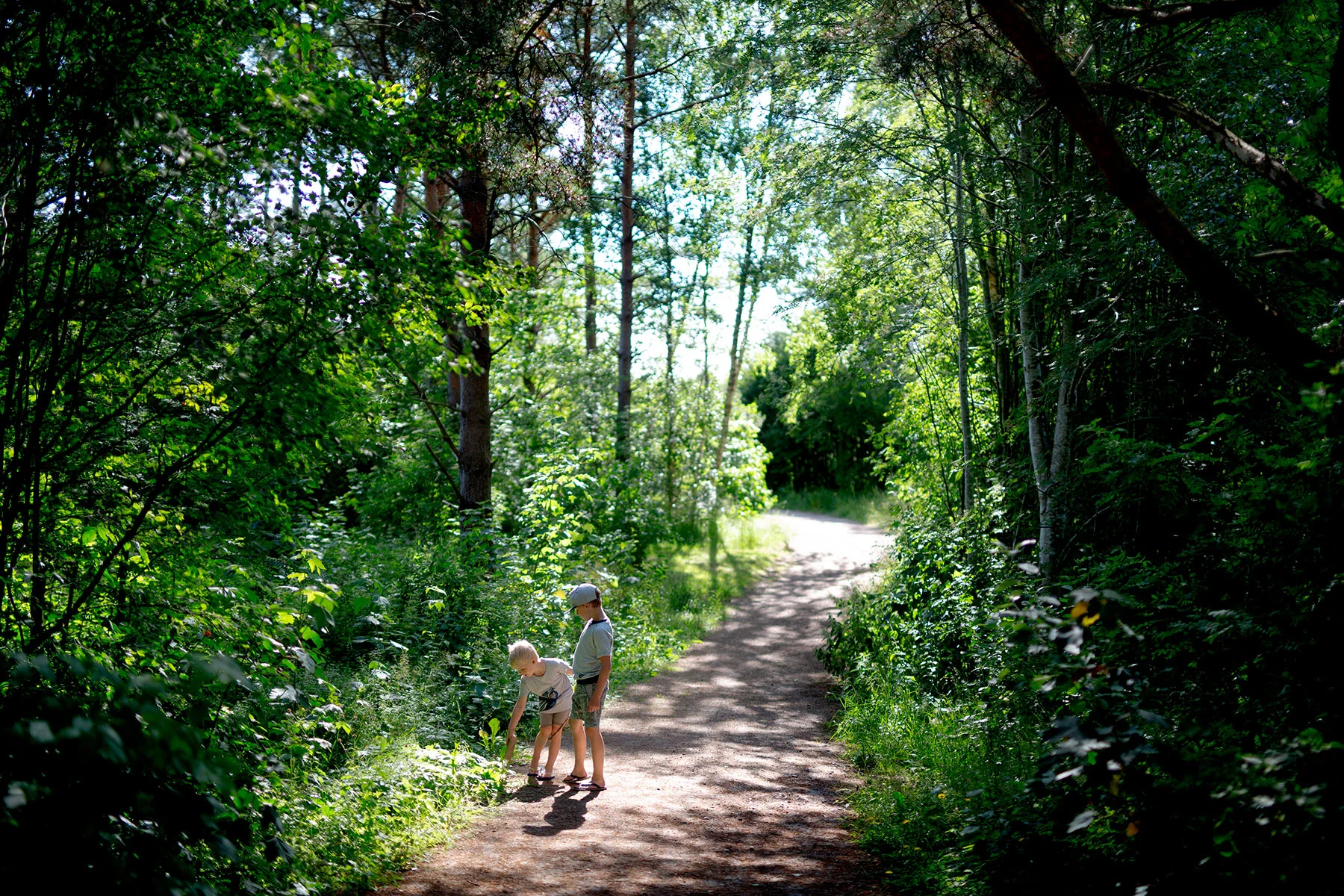 blogg-190624haverdalscamping28.jpg