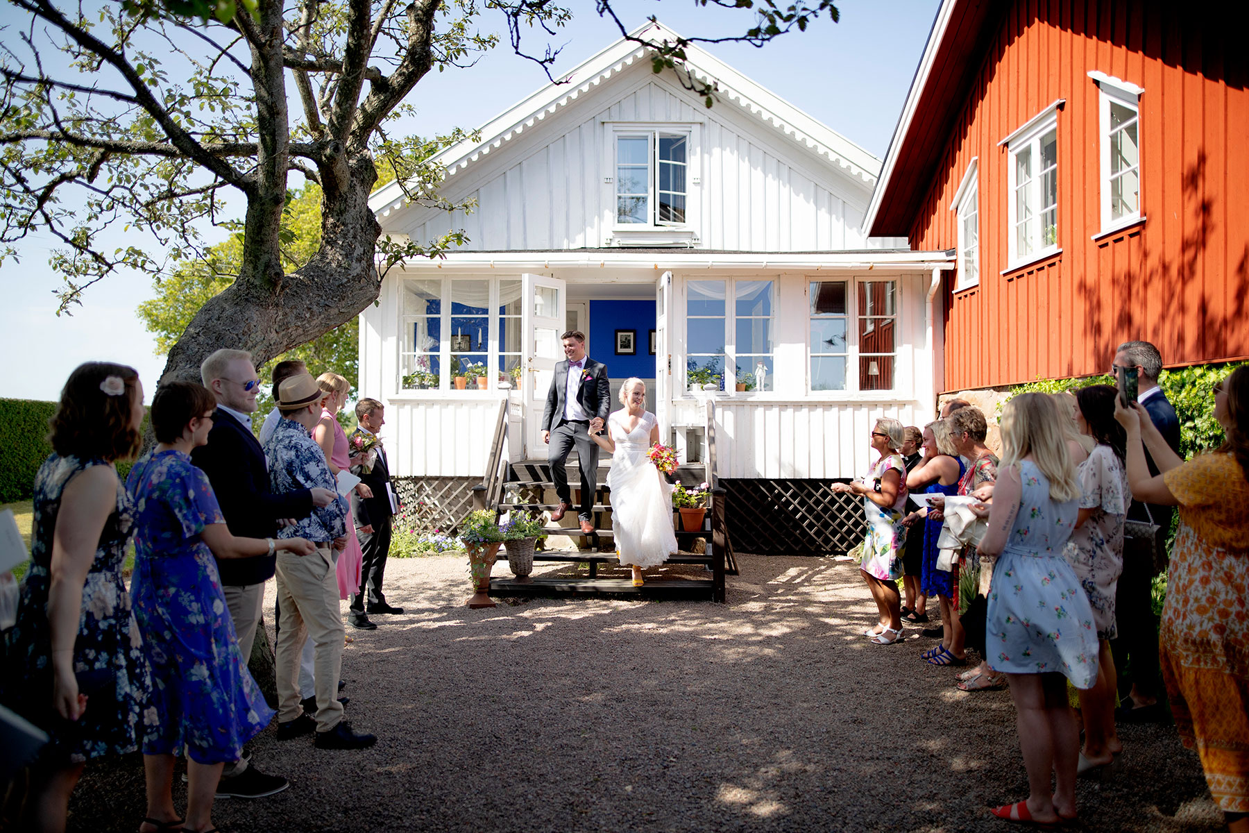 blogg-190629loney17.jpg