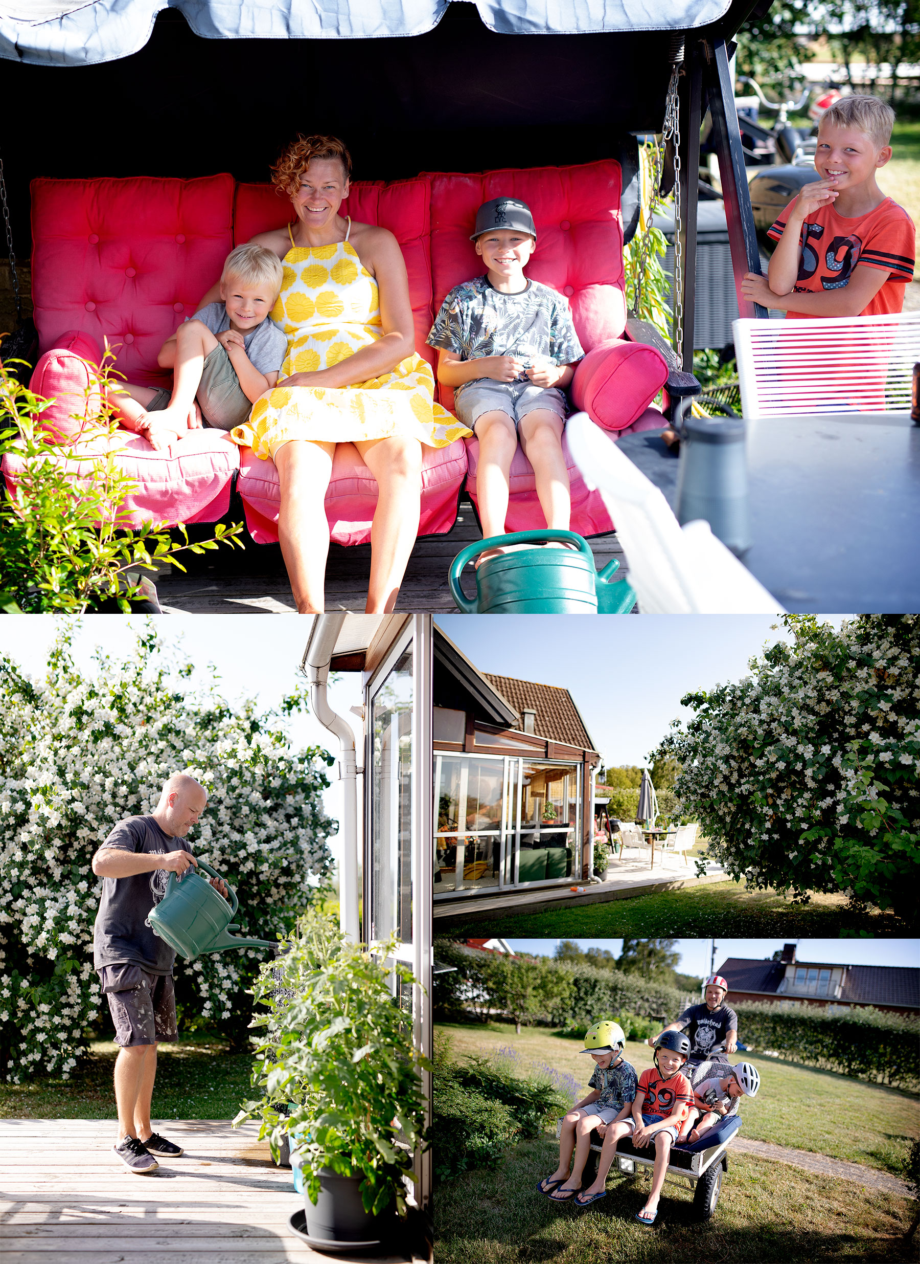 Tomater och hammockspa