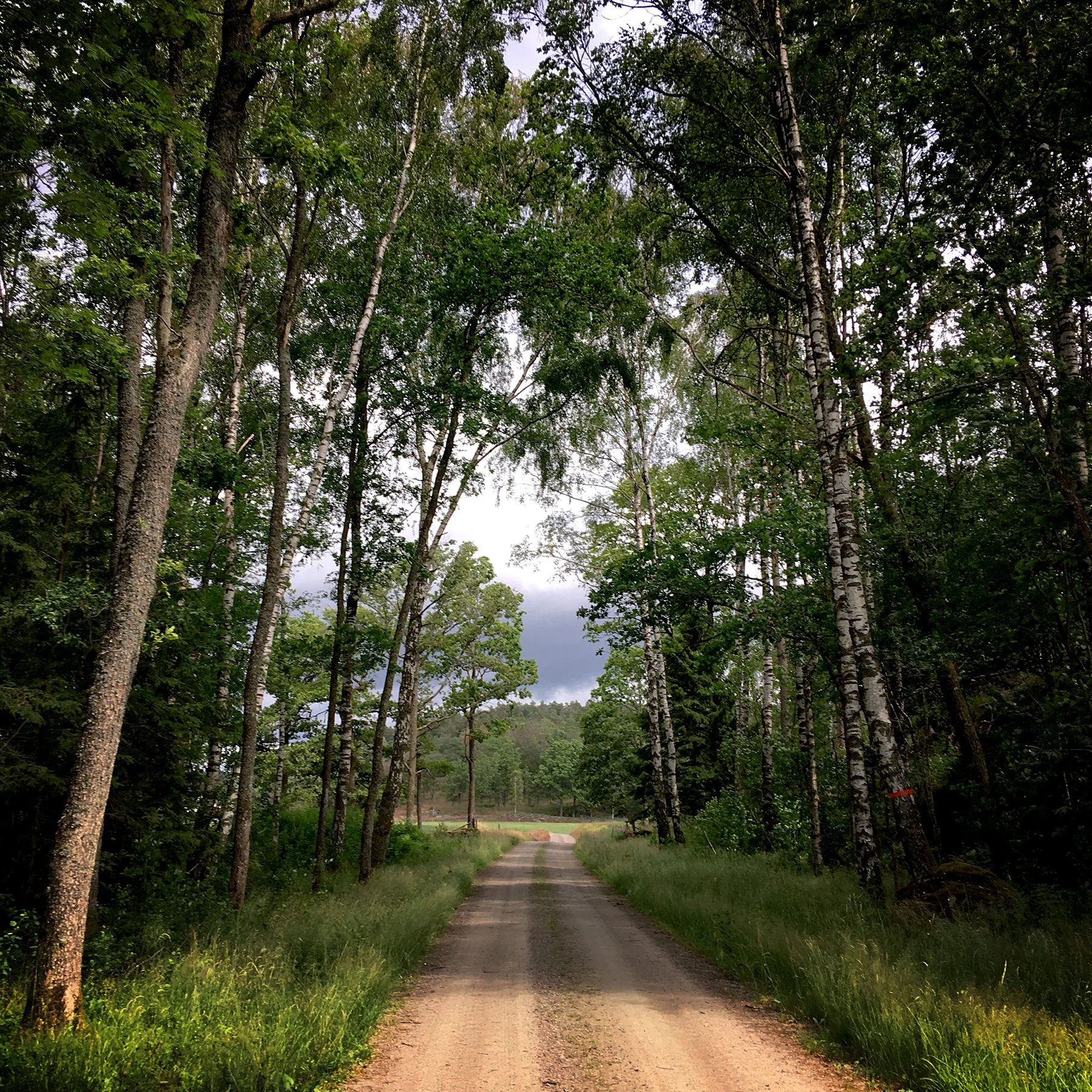 blogg-190701hallandsleden9.jpg
