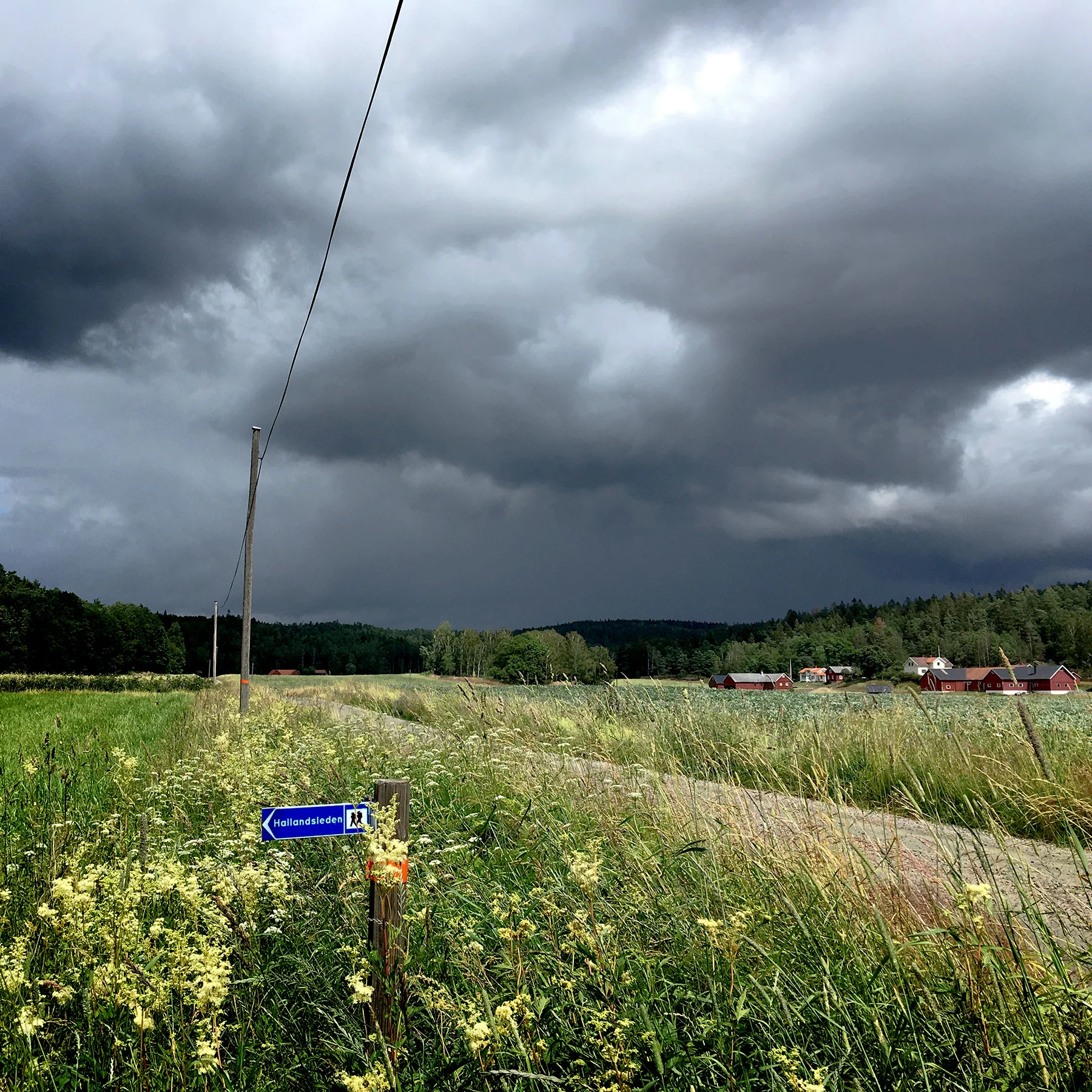 blogg-190701hallandsleden15.jpg